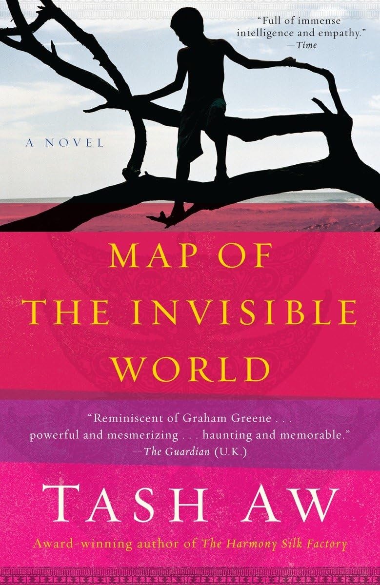 Map of the Invisible World: A Novel
