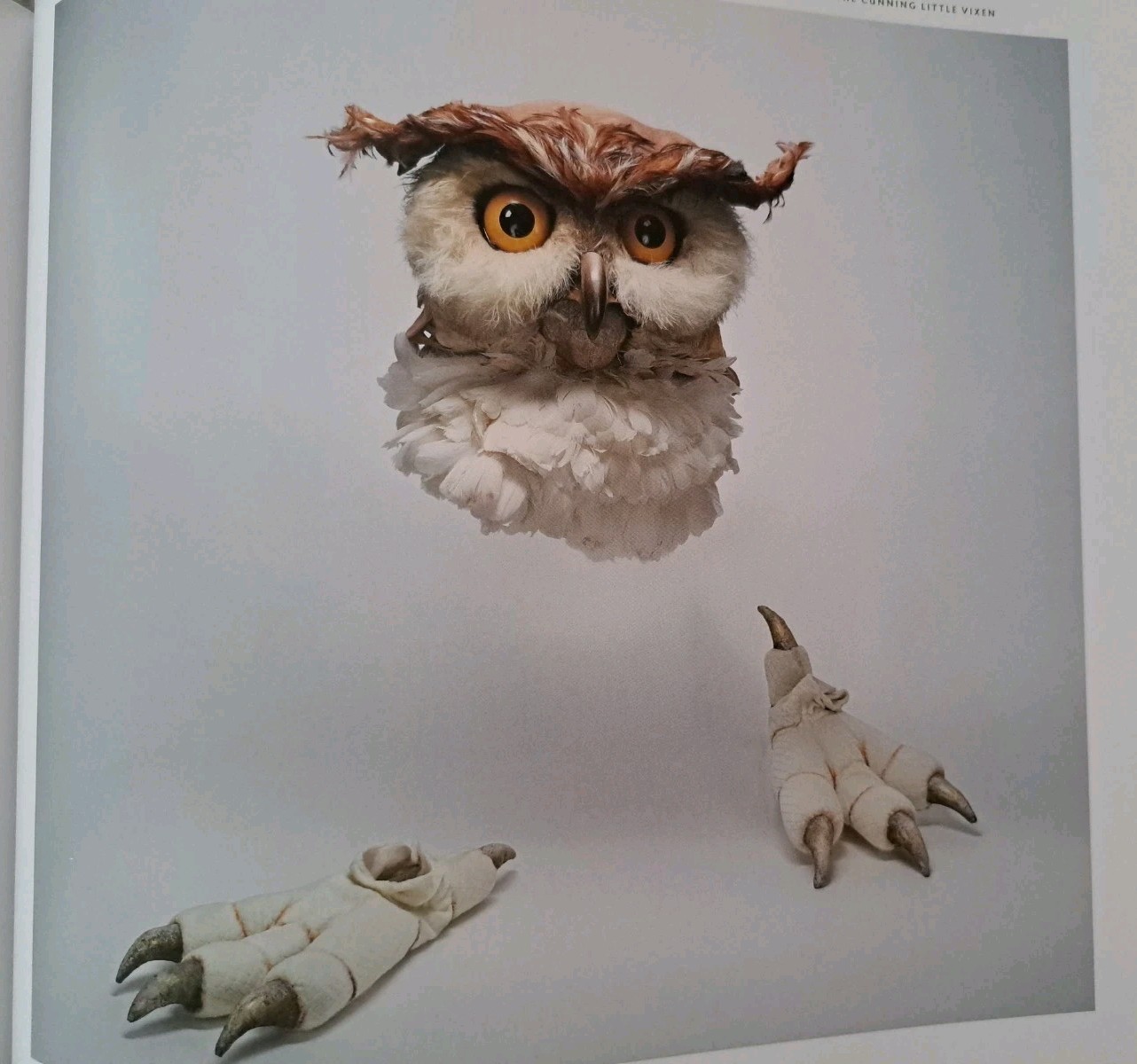 Drawing the Curtain: Maurice Sendak’s Designs for Opera and Ballet – LIKE NEW