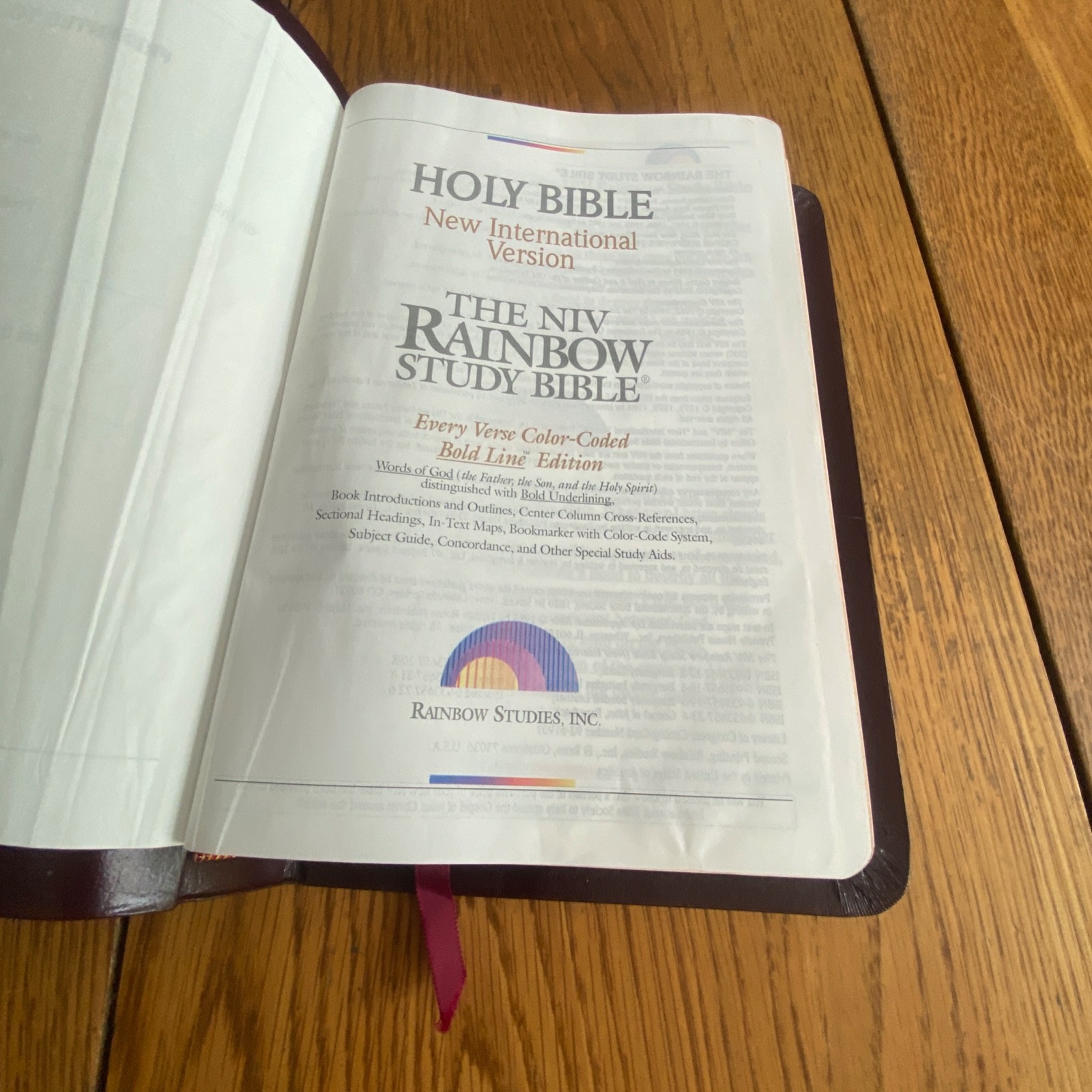 The NIV Rainbow Study Bible Bold Line Edition Burgundy