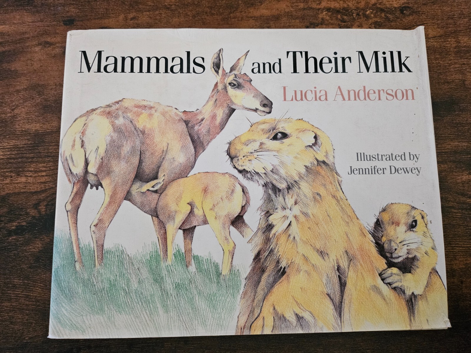 Mammals and Their Milk Lucia Anderson 1984 Nature Science Hardcover Book