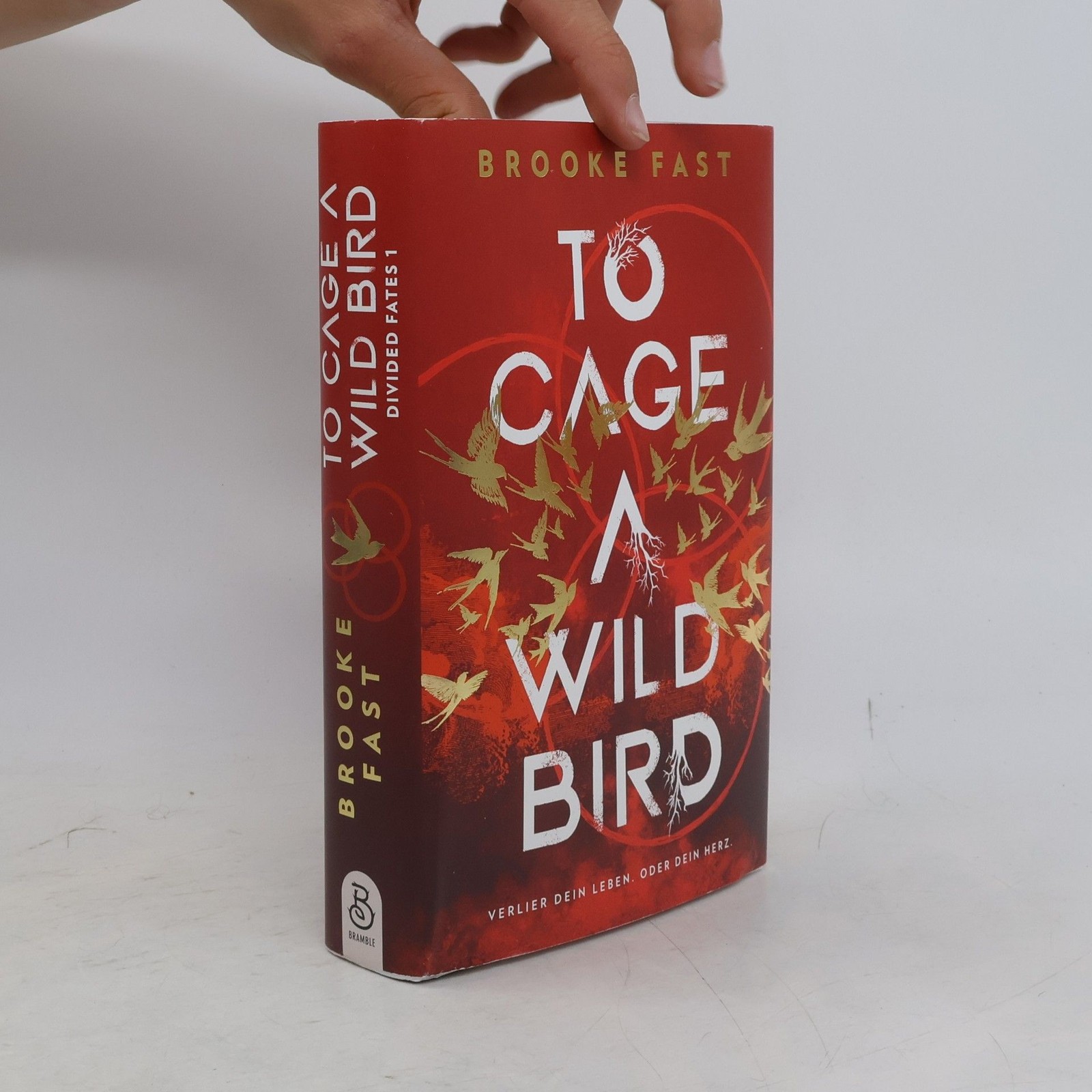 To Cage a Wild Bird  |  Brooke Fast