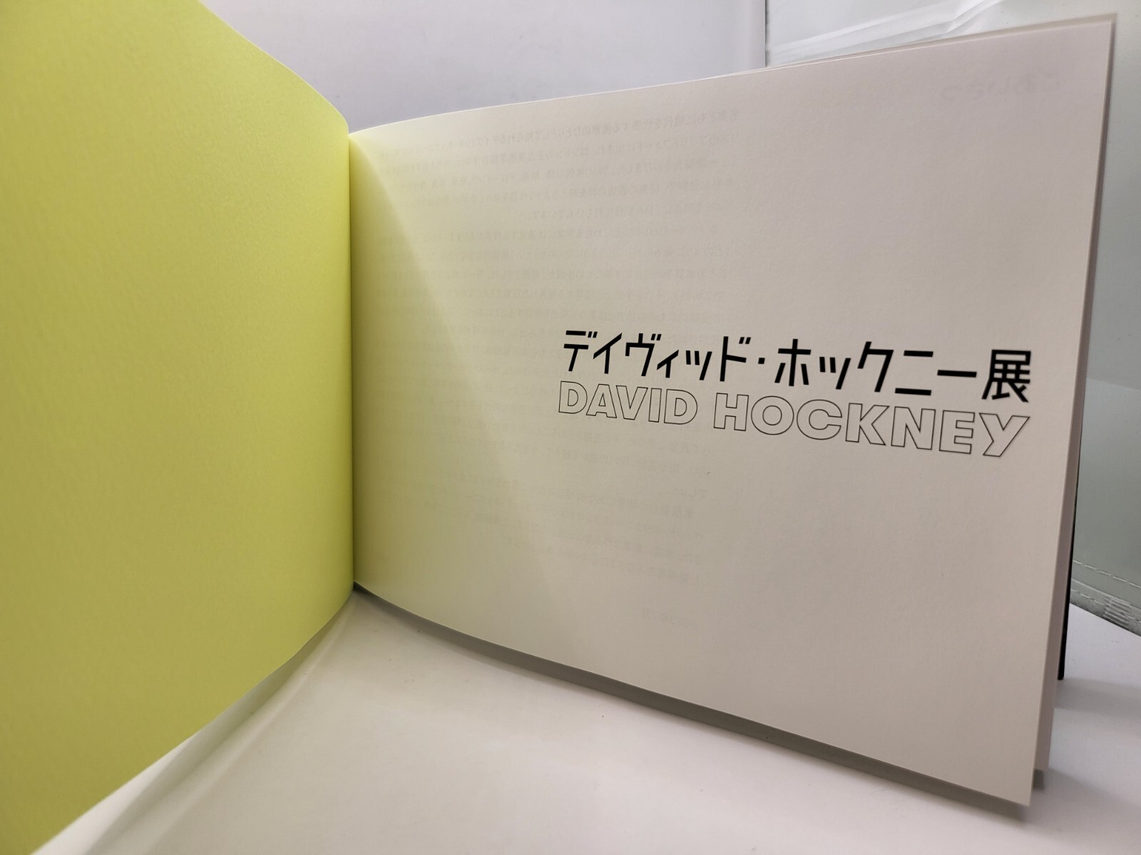 David Hockney Exhibition Official Catalogue 248 pages July 2023 Art Book Tokyo