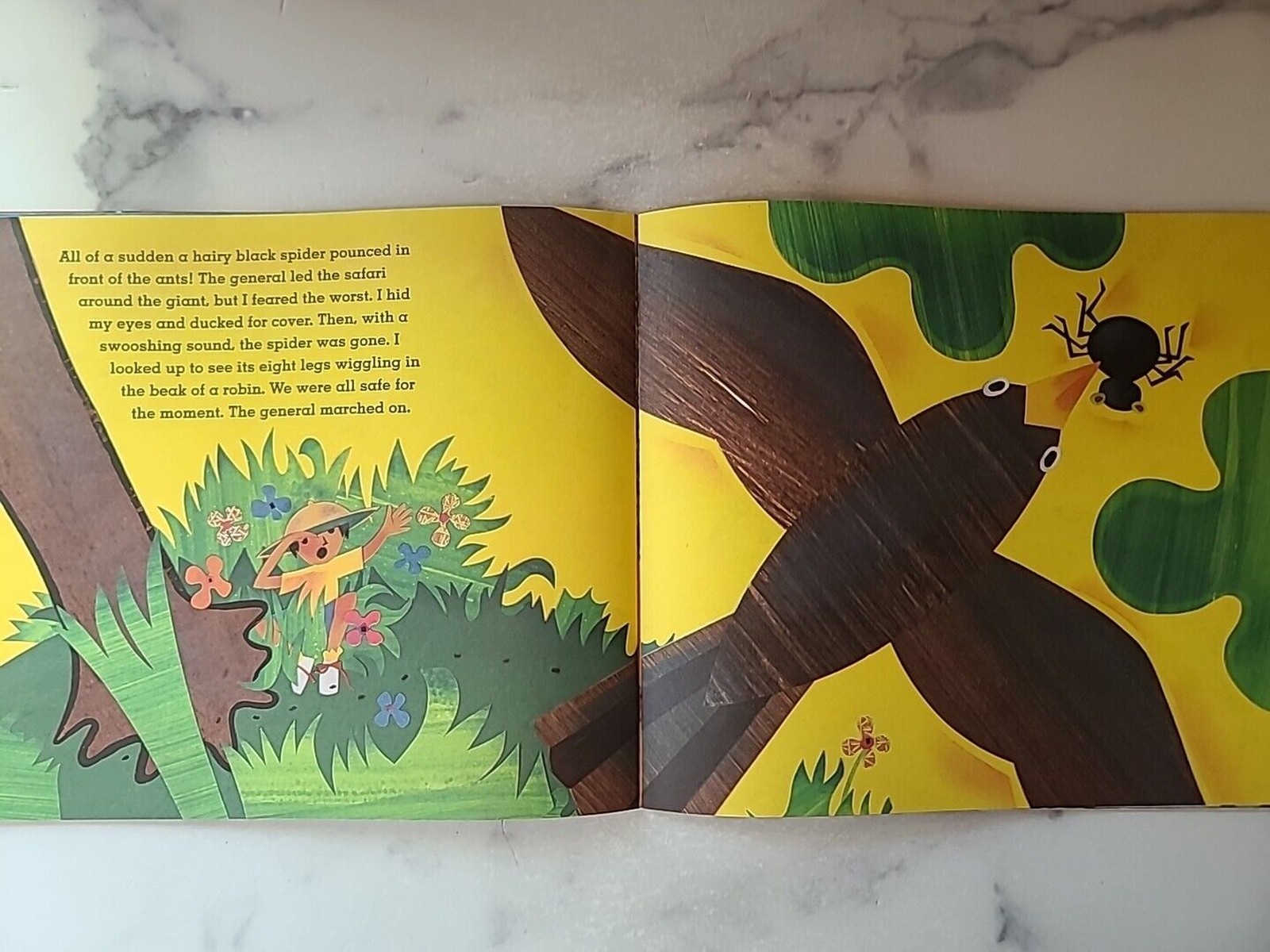 Bug Safari By Bob Barner Paperback Book Ages 4-8