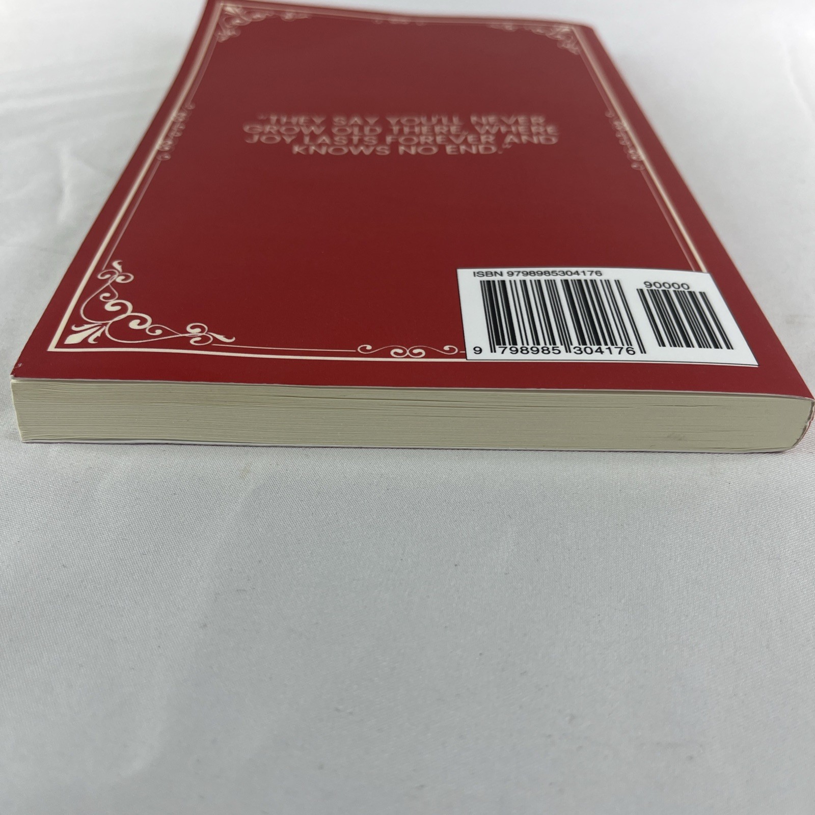 Michael V Ivanov The Ones We Wait For (Paperback)