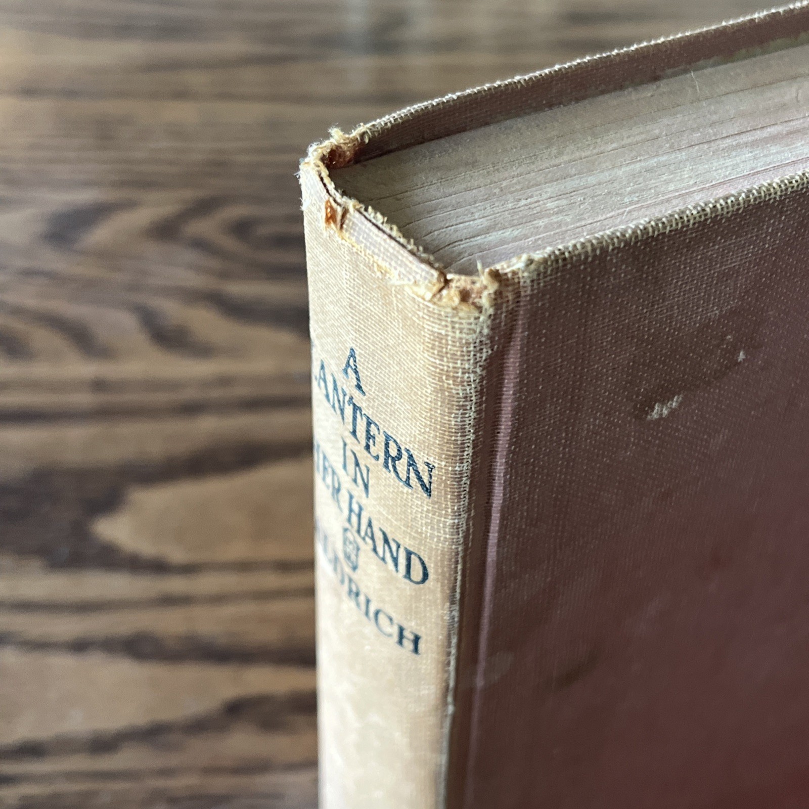 A LANTERN IN HER HAND Bess Streeter Aldrich Early Edition 1928 Grosset & Dunlap