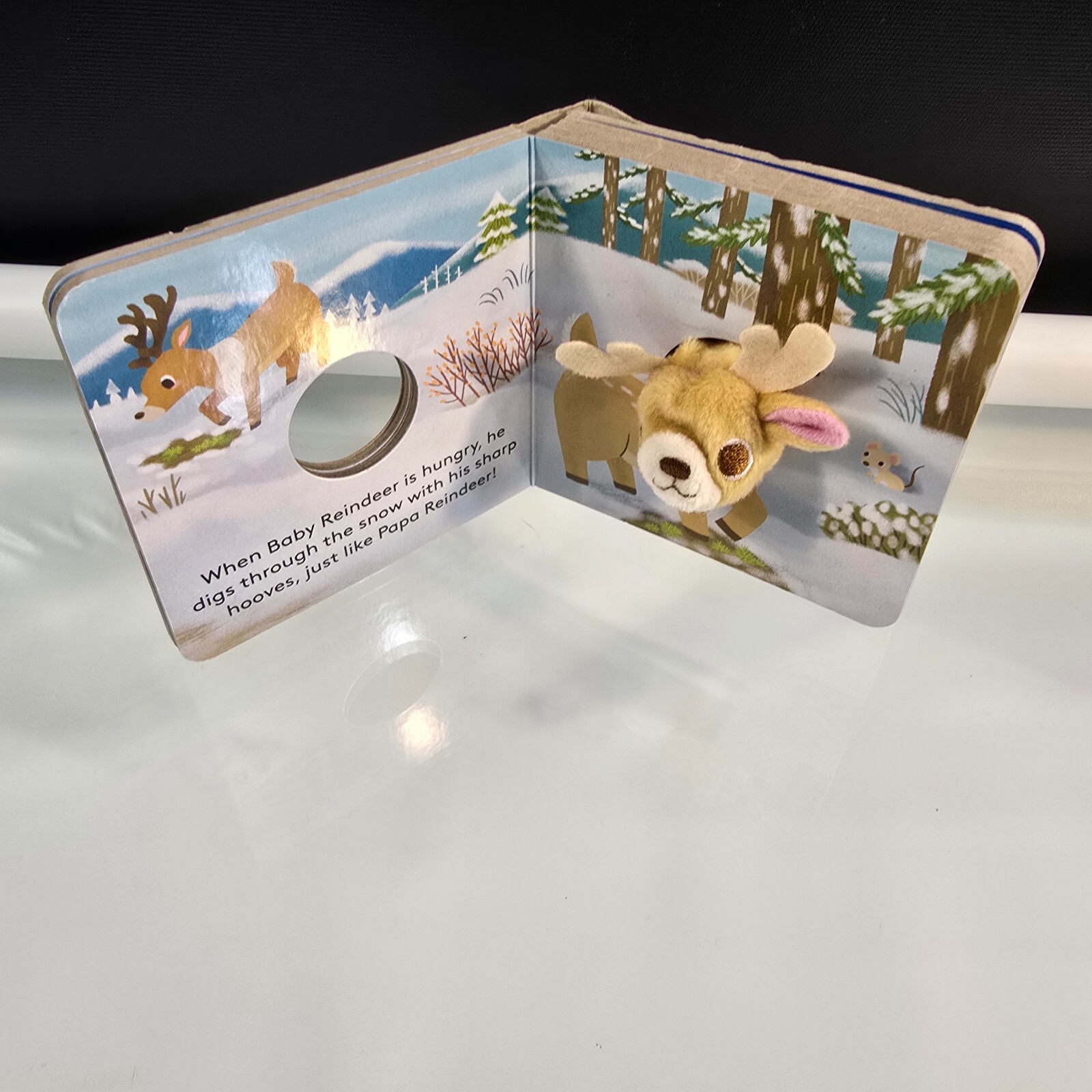 Never Touch a Shark! Touch Feel Board Book & Baby Reindeer Finger Puppet Book