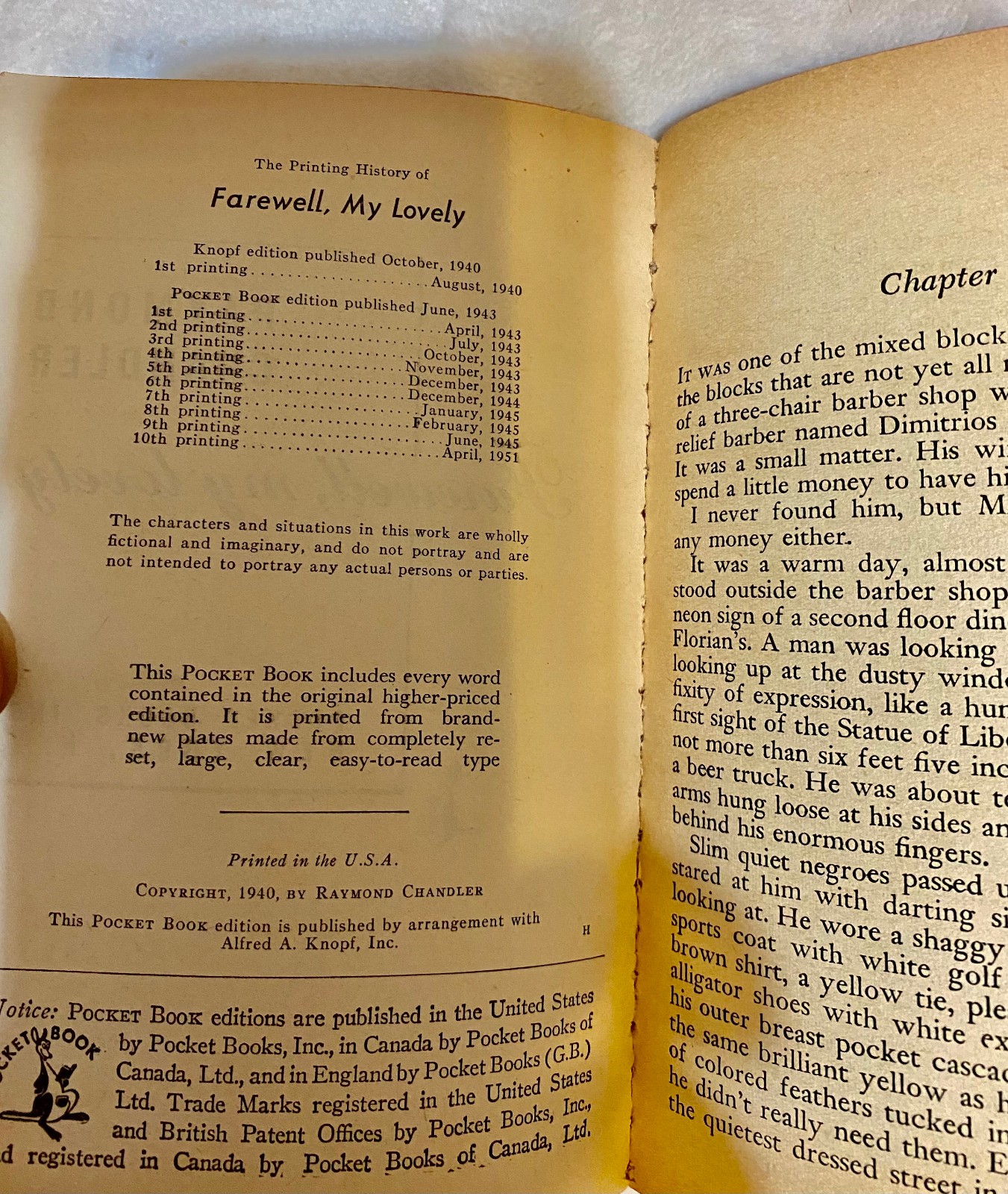 Raymond Chandler – CHOOSE YOUR TITLE! Good / Very Good PB 70’s – 90’s # 1