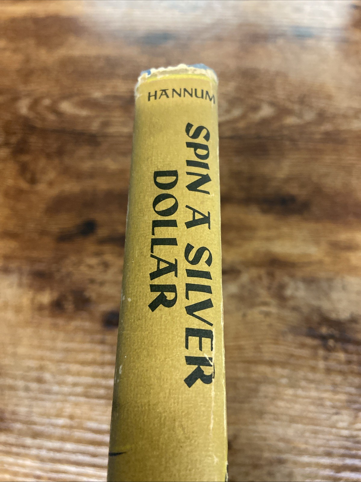 Spin a Silver Dollar by Alberta Hannum (Hardcover, 1946) Yazz Illustrations