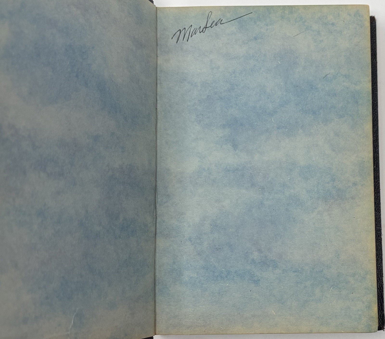 Vintage Aurelius Meditations Willy Pogany Illustrations Translation by Long Book