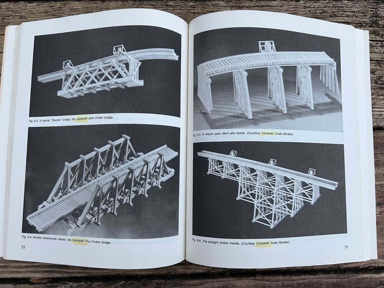Real Life Scenic Techniques for Model Railroaders By Carl Caiati 161 Pages SC