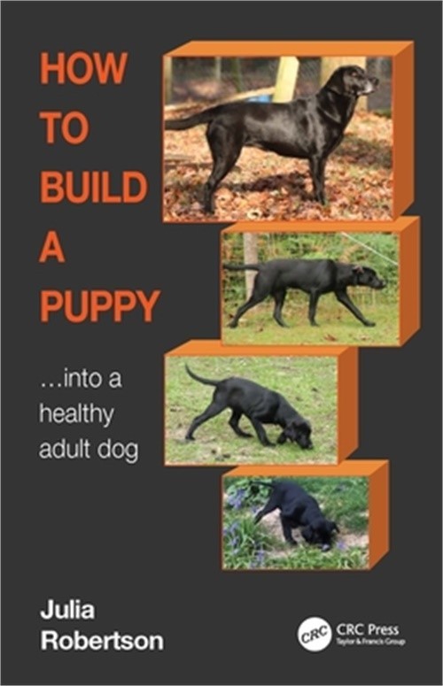 How to Build a Puppy: Into a Healthy Adult Dog (Paperback or Softback)