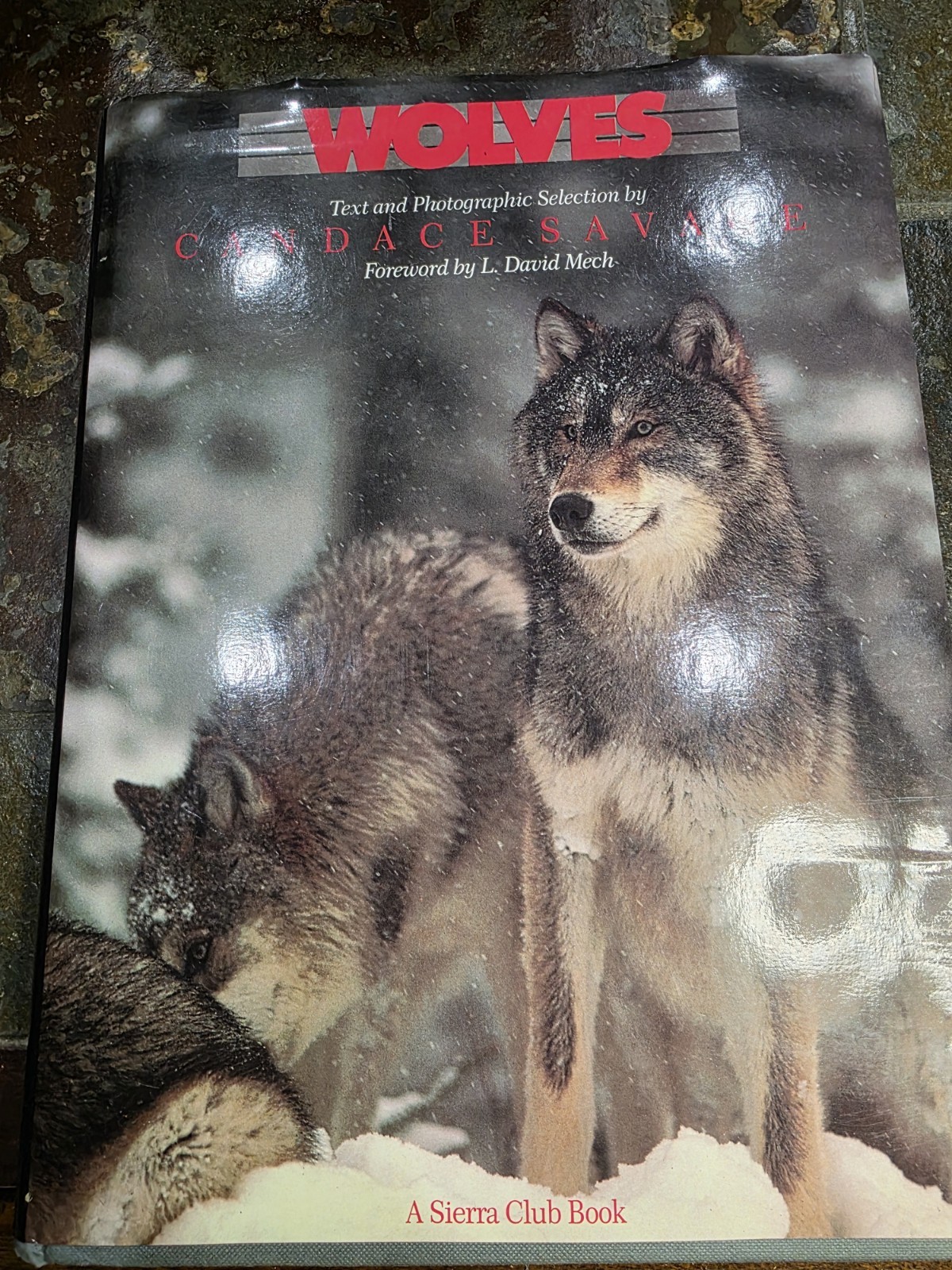 “WOLVES” by Candace Savage, intro by L David Mech. 1988. HBwDJ, 159 pages, VG