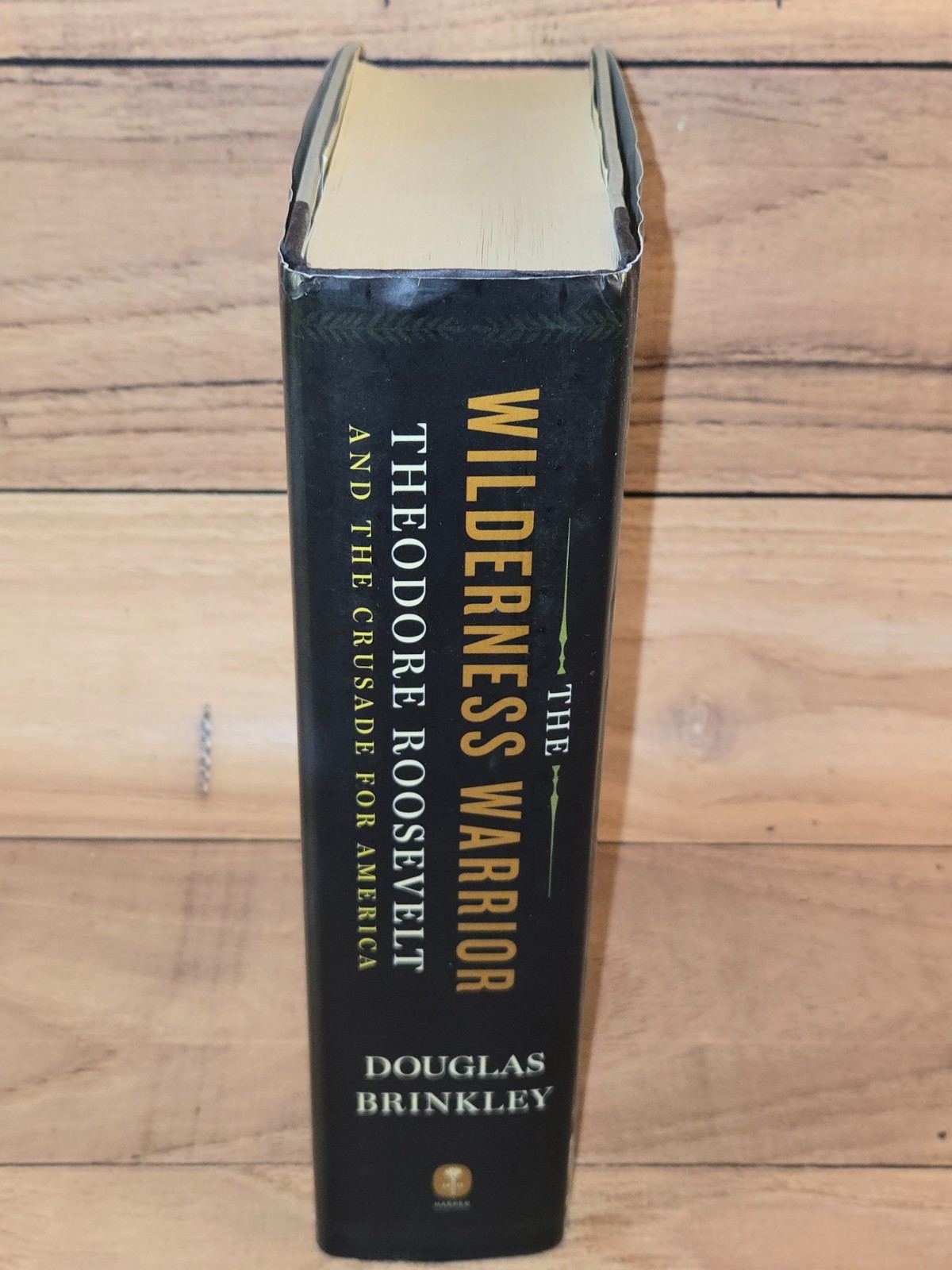 Wilderness Warrior Theodore Roosevelt and the Crusade for America Brinkley