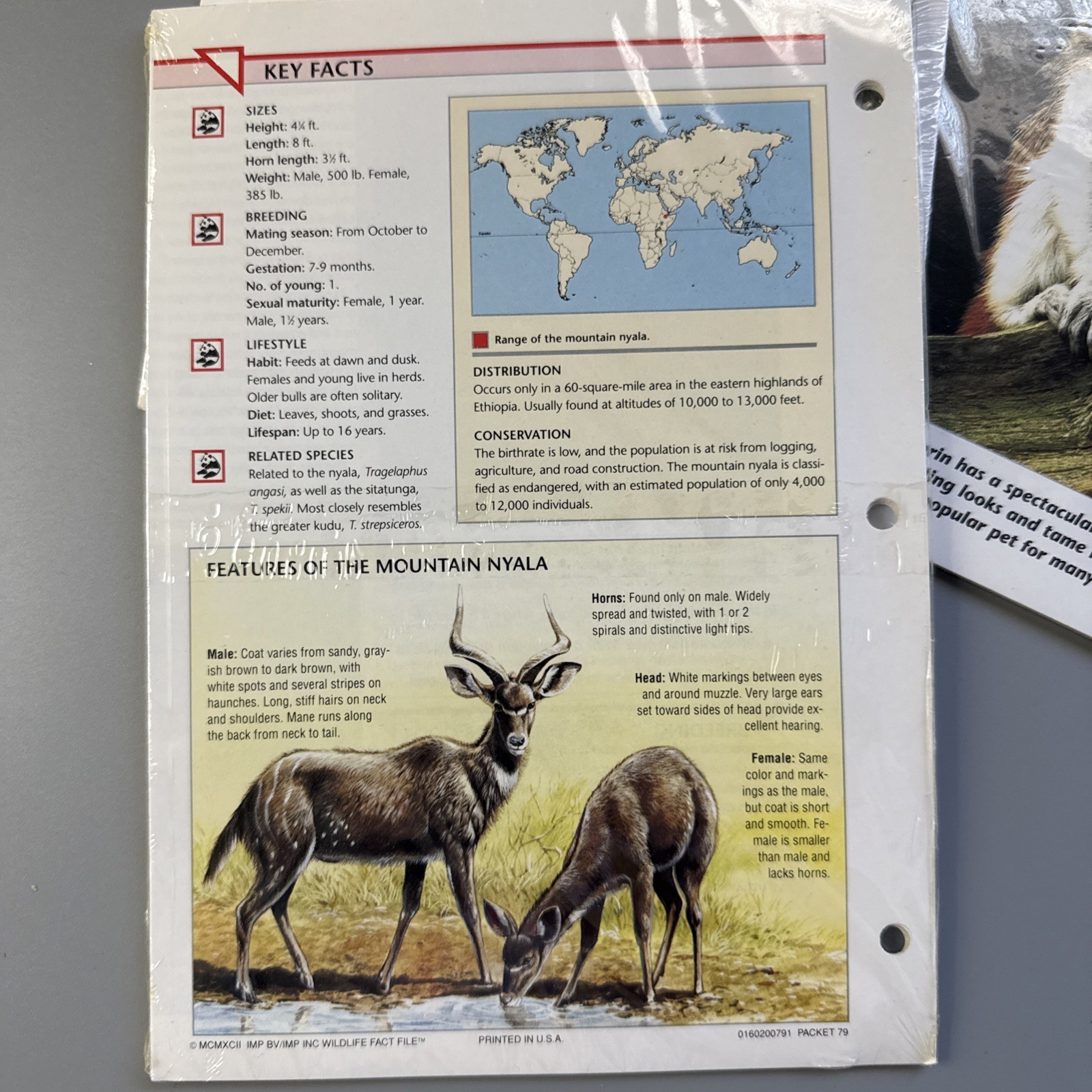 SEALED Wildlife Fact-File Cards: Mammals (#169, 293), Fish #43, Group 5 #62