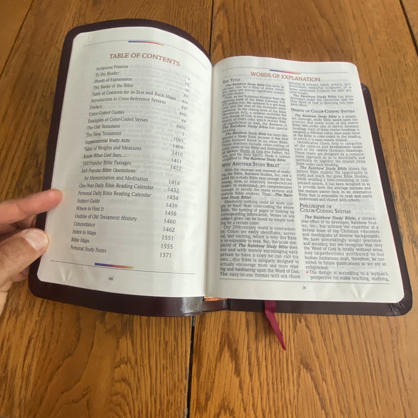 The NIV Rainbow Study Bible Bold Line Edition Burgundy