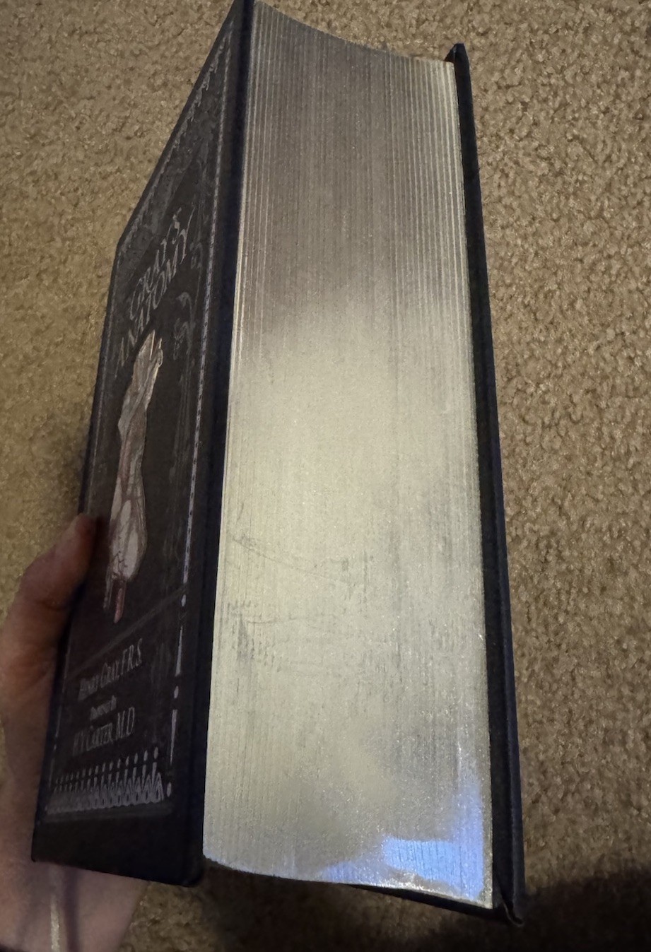 Gray’s Anatomy Blue Leather Bound Hardcover Book by Henry Gray H.V. Carter