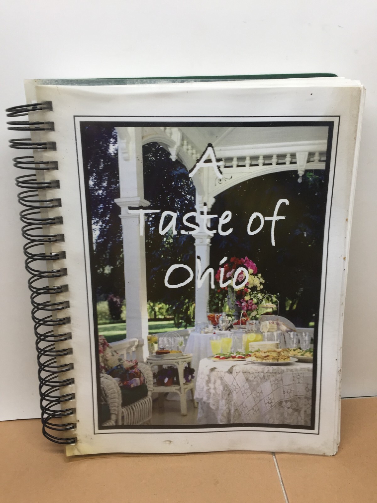A Taste Of Ohio Cookbook, mixed recipes from Ohio, large cookbook 365 pages