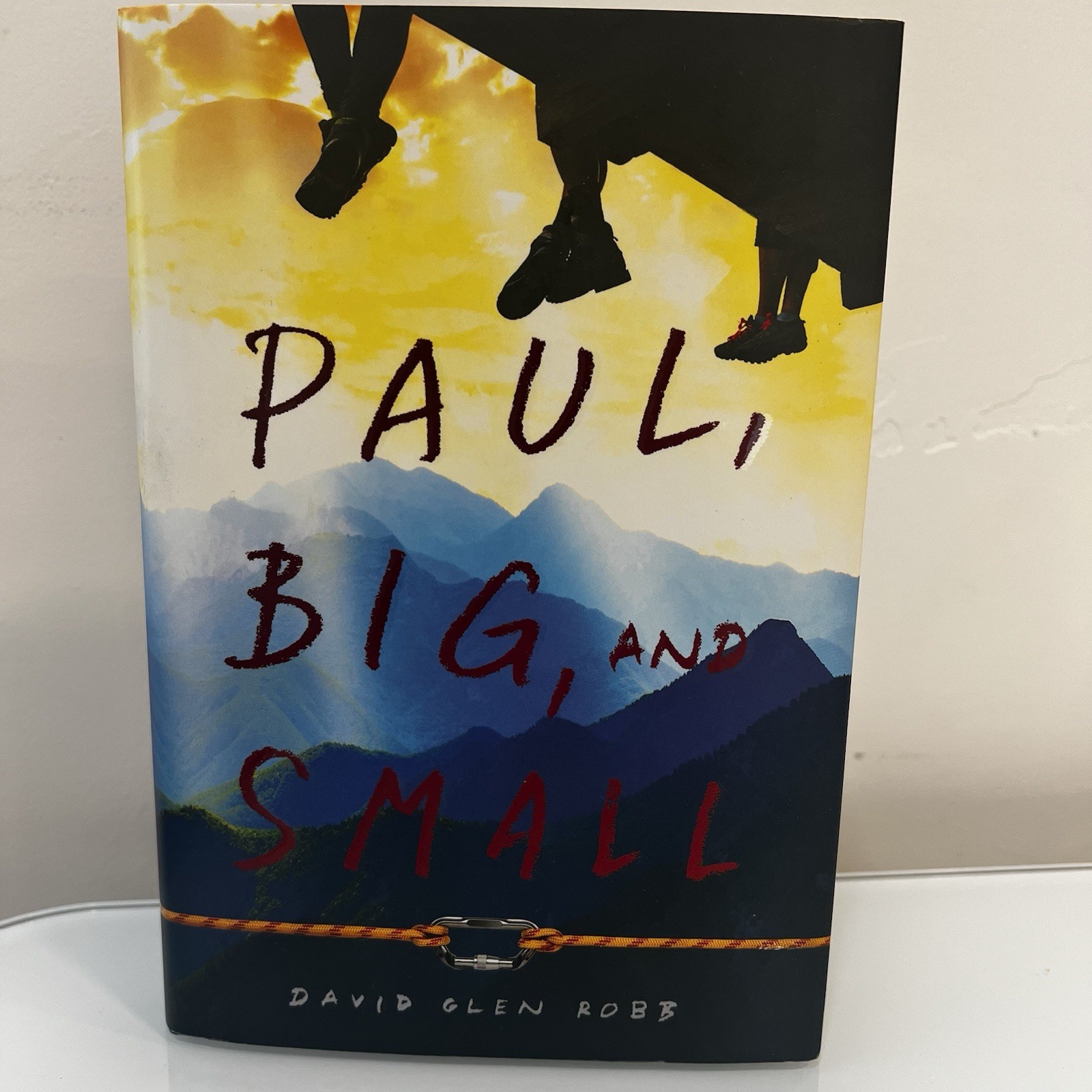 Paul, Big, and Small by David Glen Robb (2019, Hardcover) Brand New