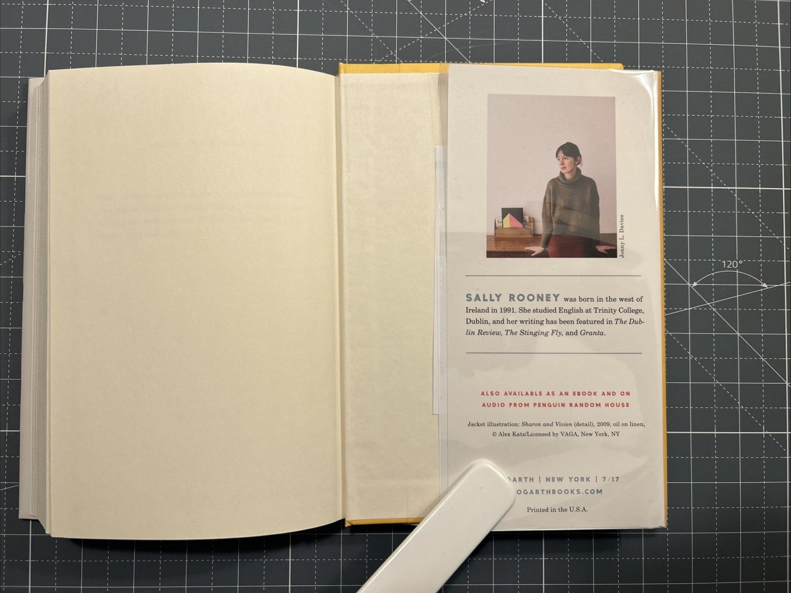 Conversations with Friends: debut Sally Rooney – Near Fine 1st edition 1st print