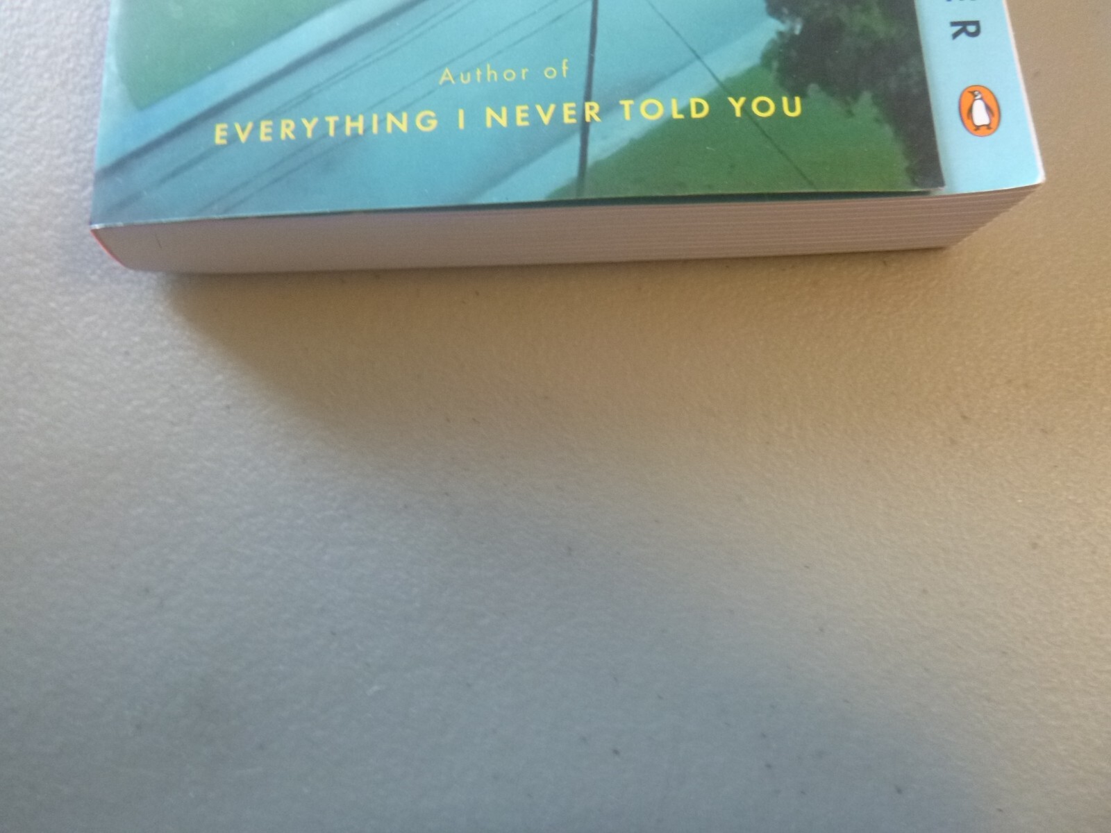 Little Fires Everywhere by Celeste Ng