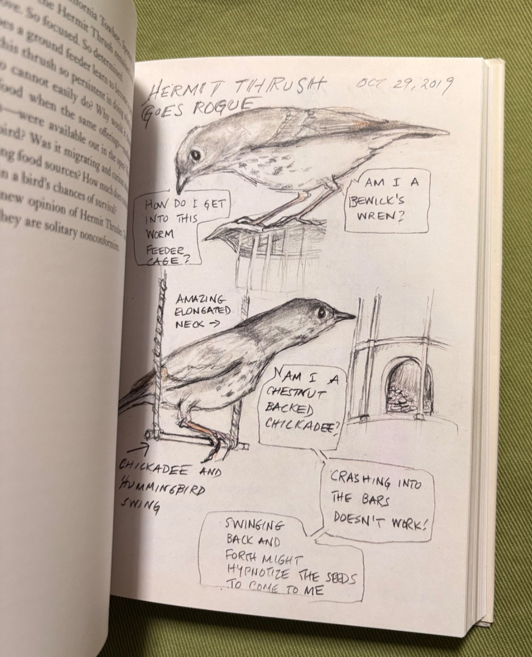 The Backyard Bird Chronicles – Written and Illustrated by Amy Tan