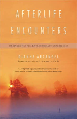 Afterlife Encounters: Ordinary People, Extraordinary Experiences – VERY GOOD