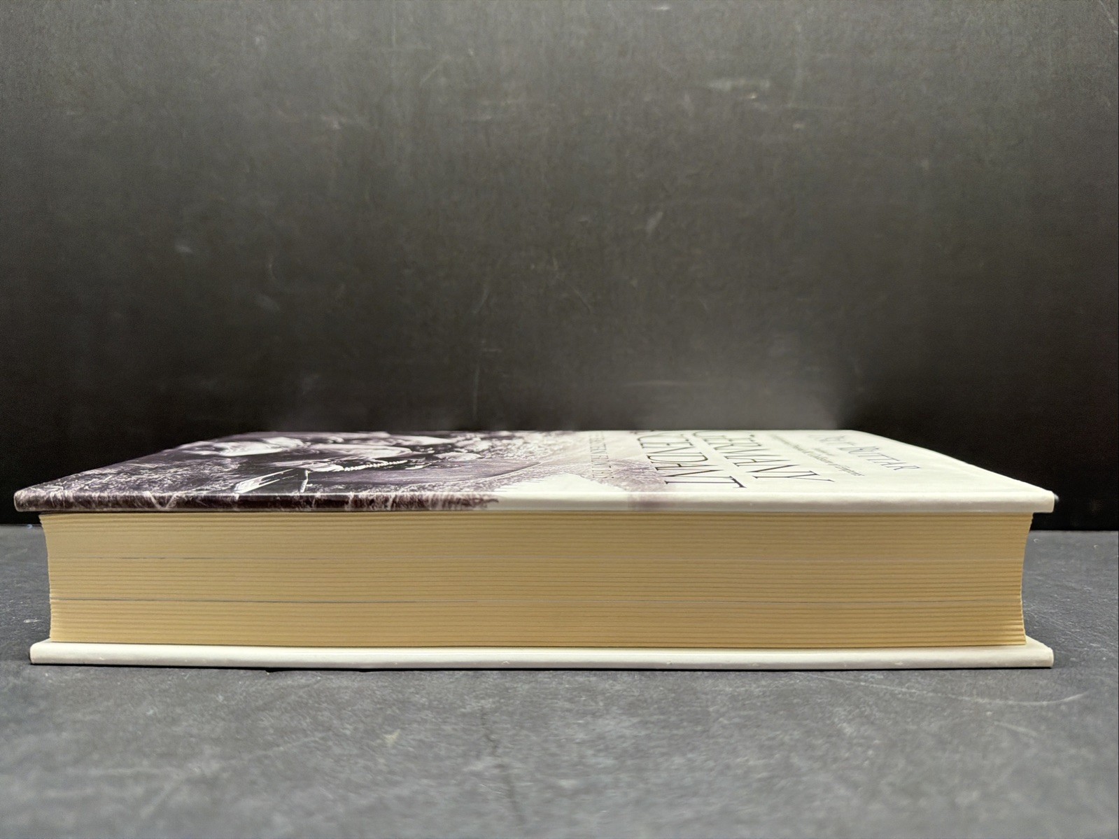 Germany Ascendant Eastern Front 1915 Prit Buttar 1st Edition HC DJ