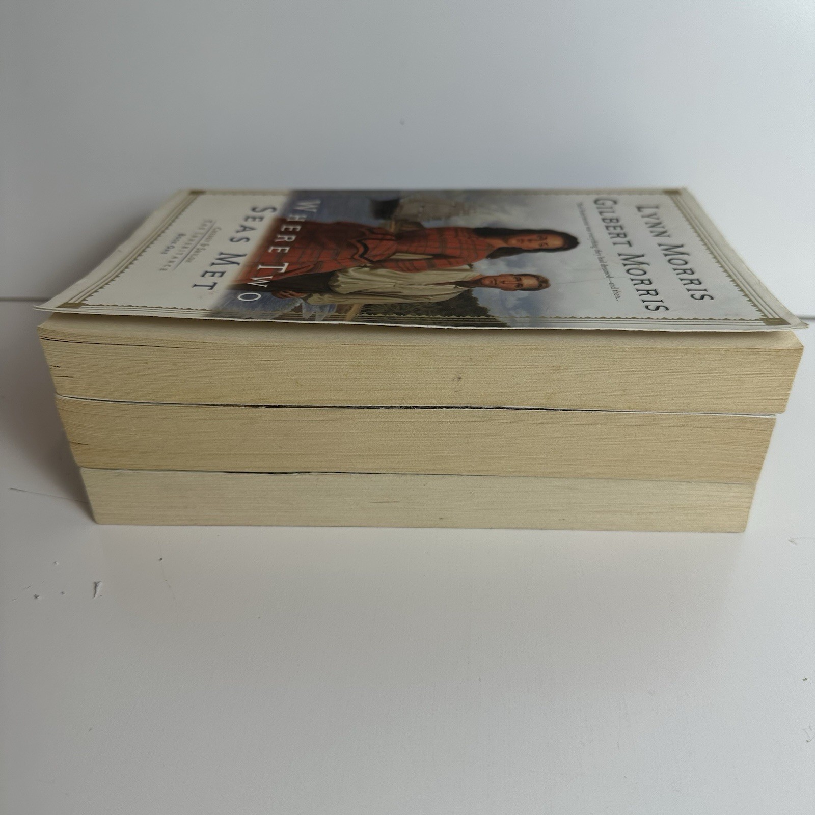 Cheney & Shiloh The Inheritance Complete Trilogy 1-3 Gilbert Lynn Morris PB Lot