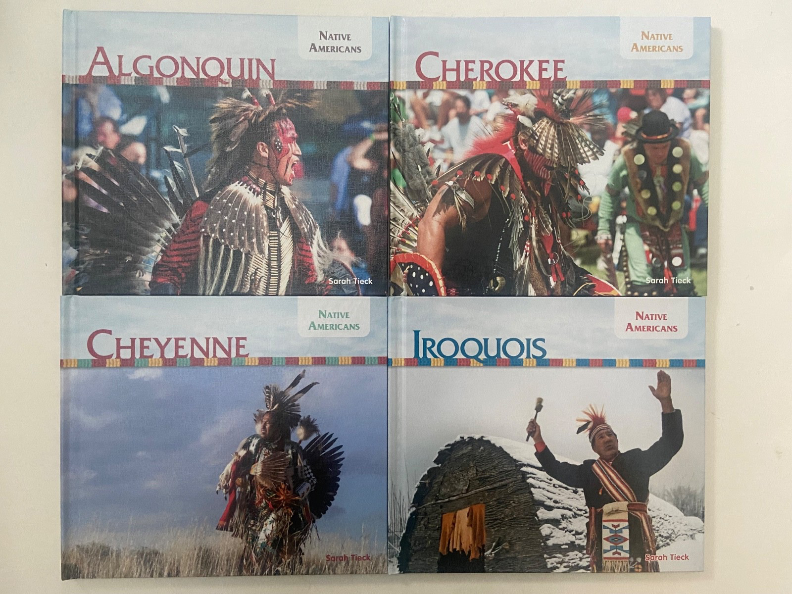 ABDO Publishing Native Americans 20 Hardcover Book Lot Big Buddy Books Sarah Tie