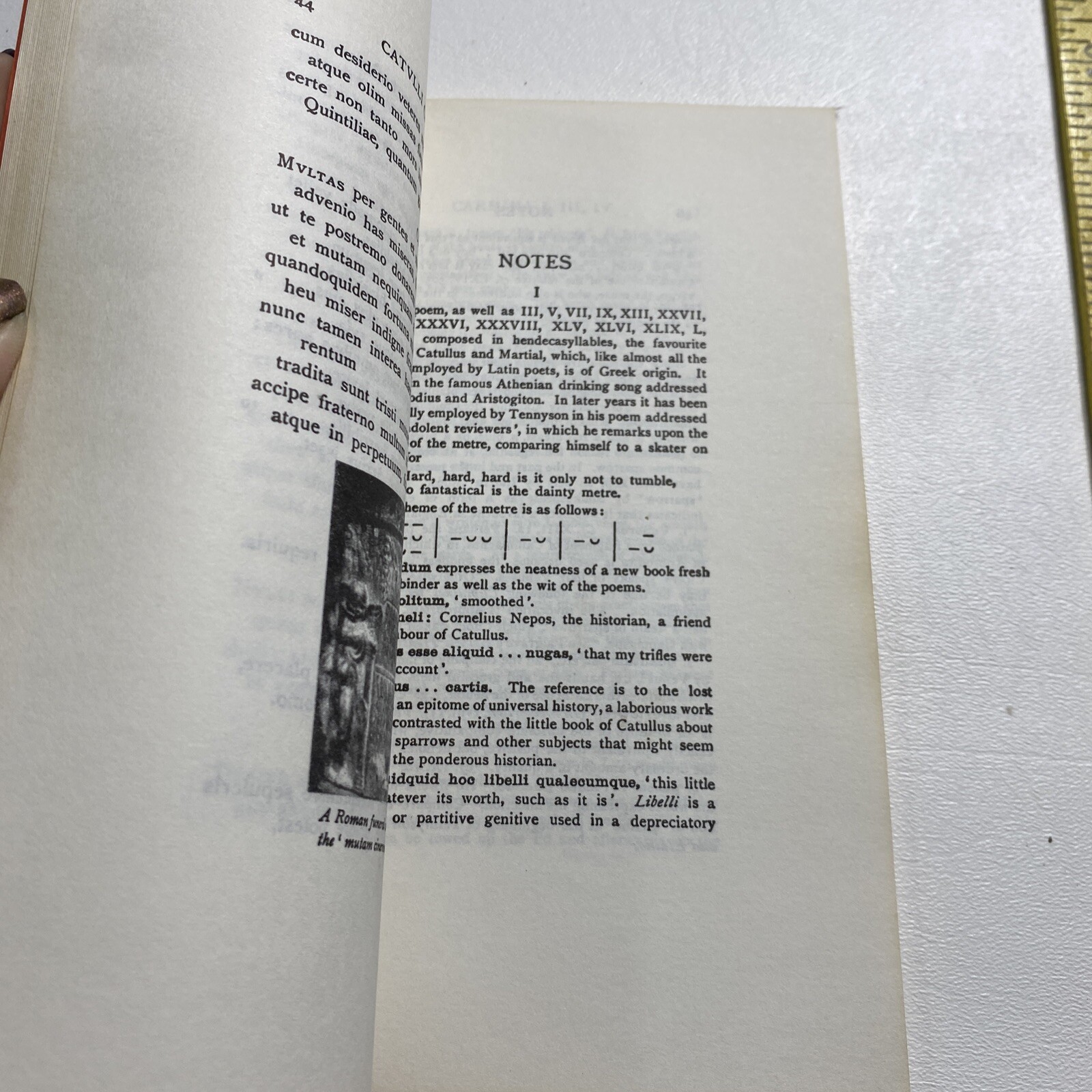Catullus – Michael MacMillian (Paperback, 1921)