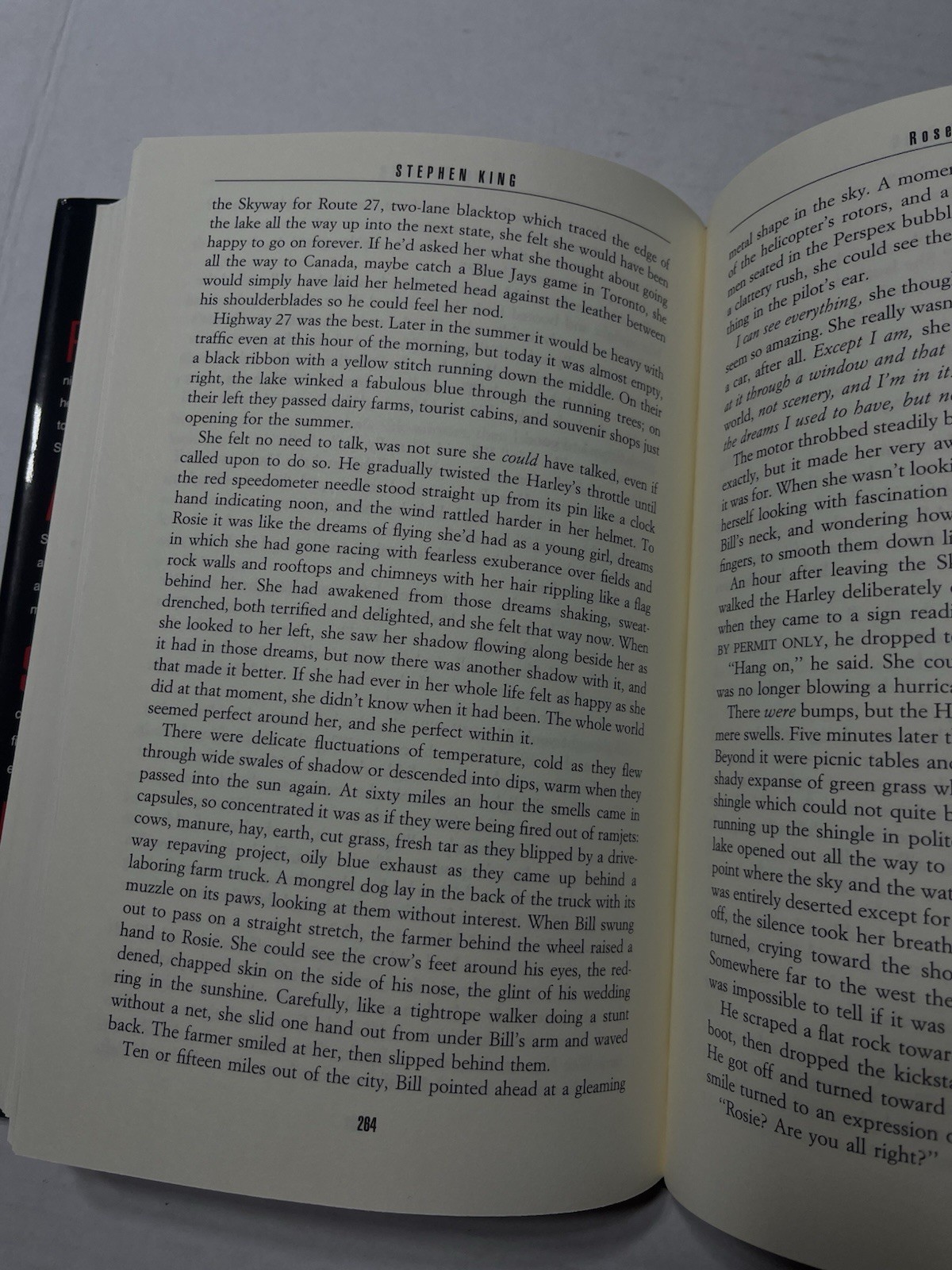 Rose Madder – Stephen King – True 1st Edition, 1st Printing – 1995