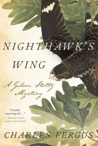 Nighthawk’s Wing: A Gideon Stoltz Mystery (Gideon Stoltz Mysteries) – GOOD