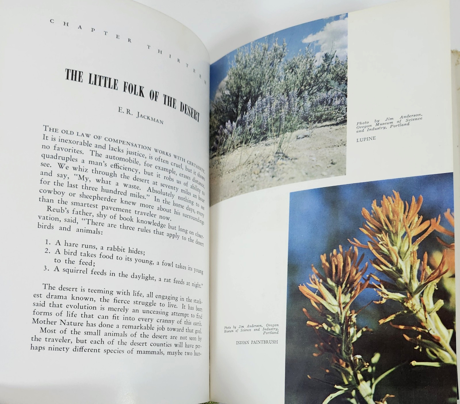 The Oregon Desert by E.R. Jackman/R Lang (1st Ed 1964) SIGNED