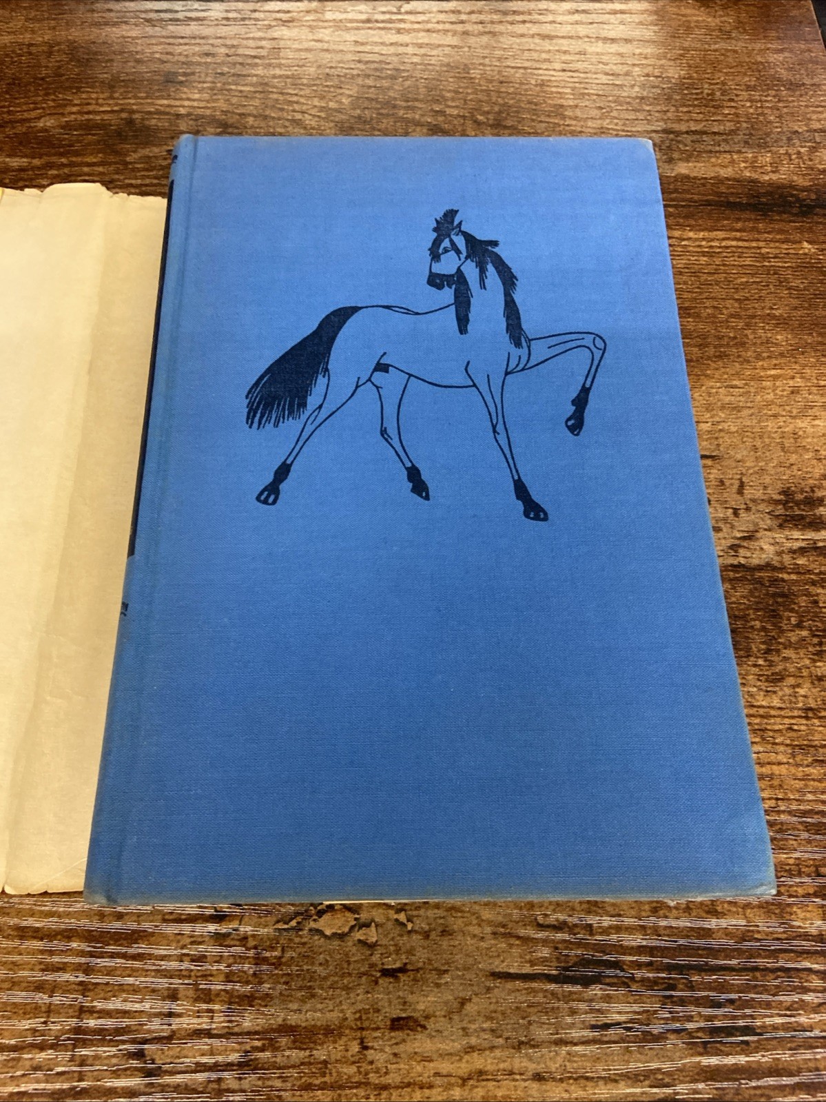 Spin a Silver Dollar by Alberta Hannum (Hardcover, 1946) Yazz Illustrations