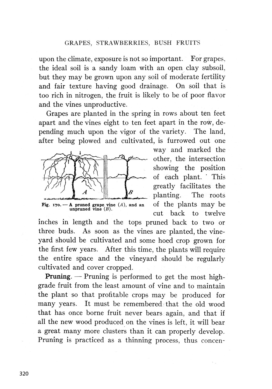 Classic Farming, Plant Production, and Horticulture: Special Edition Book *NEW*