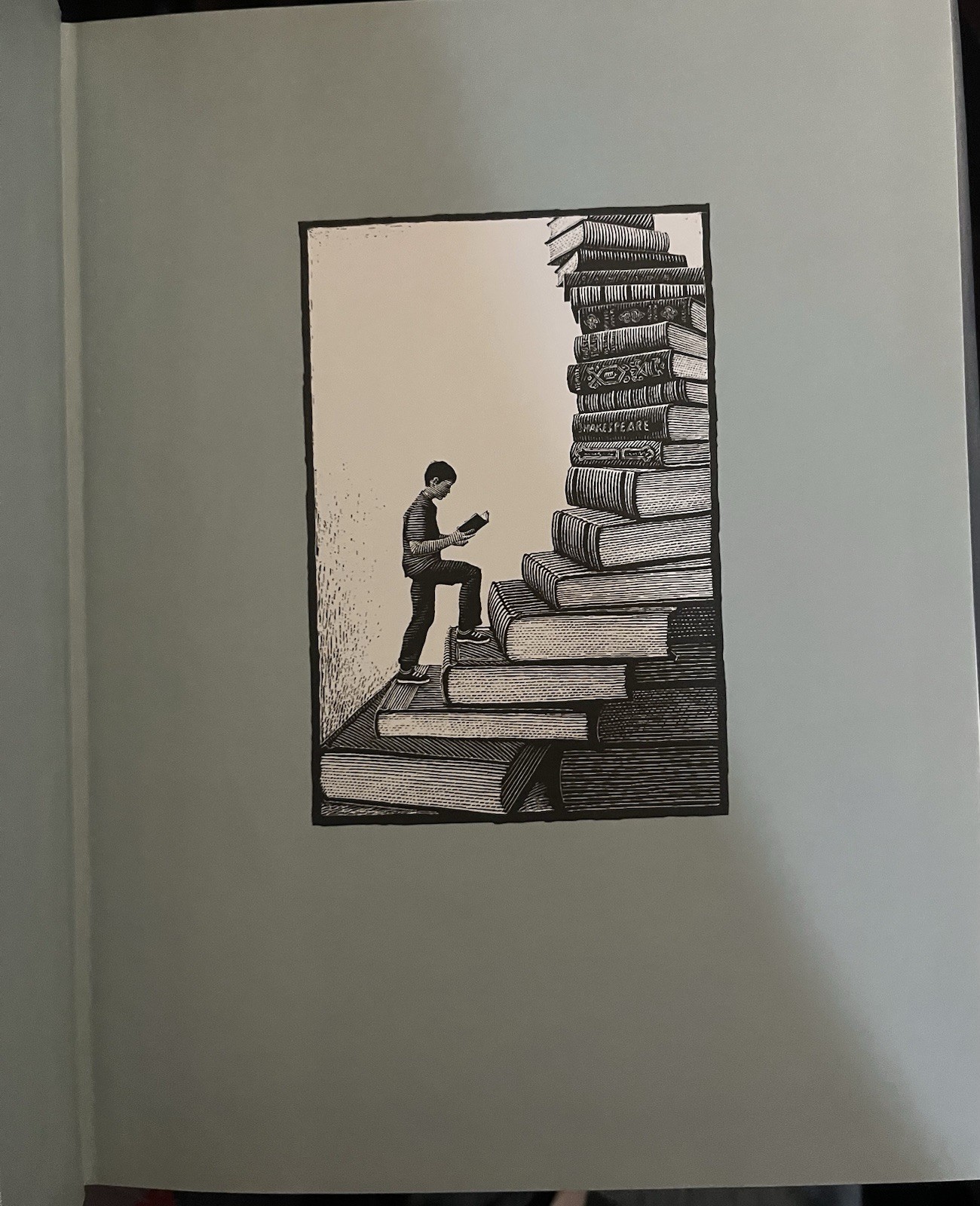 Sterling Publishing Pinocchio by Carlo Collodi Unabridged HC Scott McKowen 2014