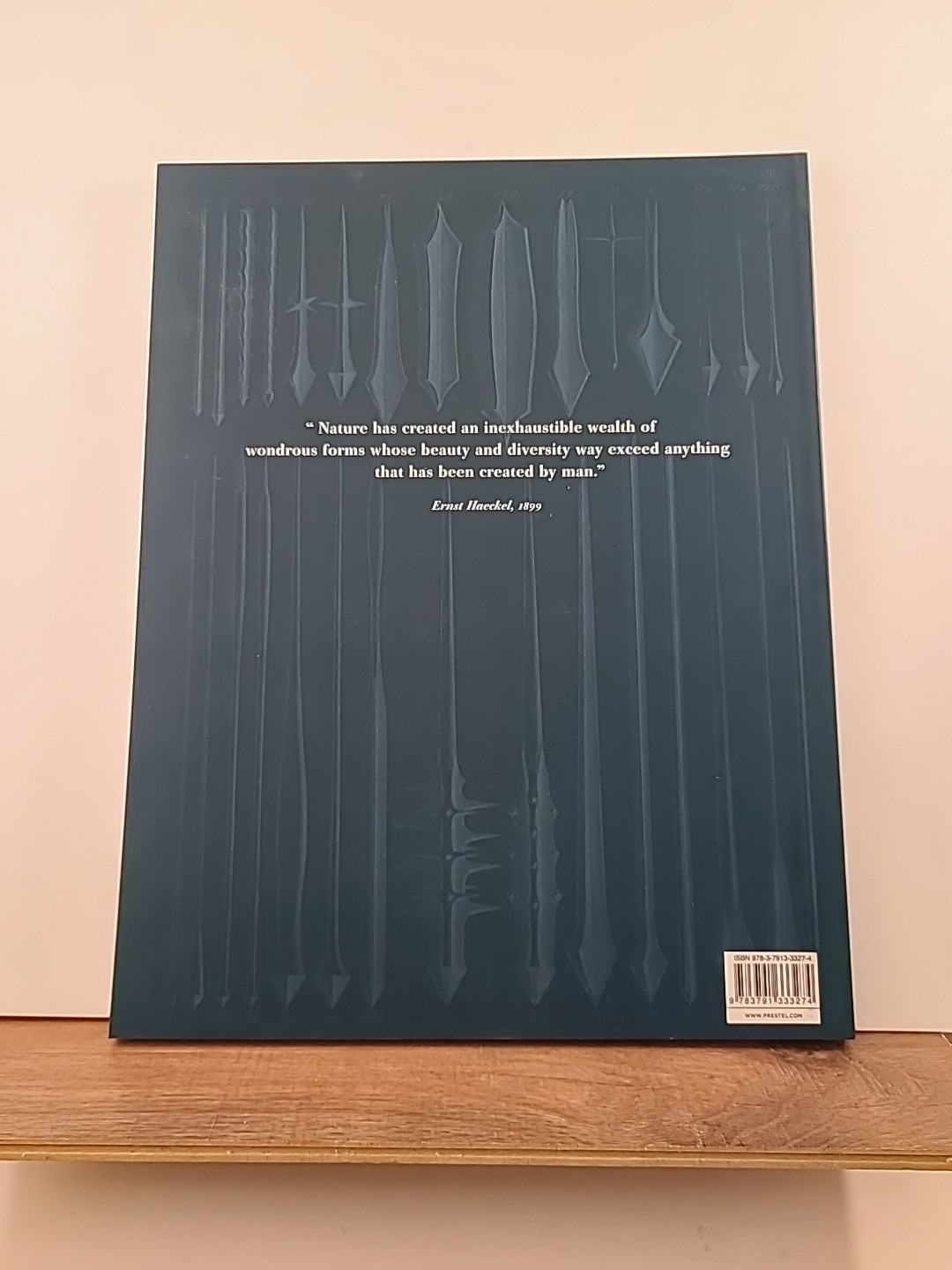 Art Forms from the Ocean : The Radiolarian Prints of Ernst Haeckel by Olaf…