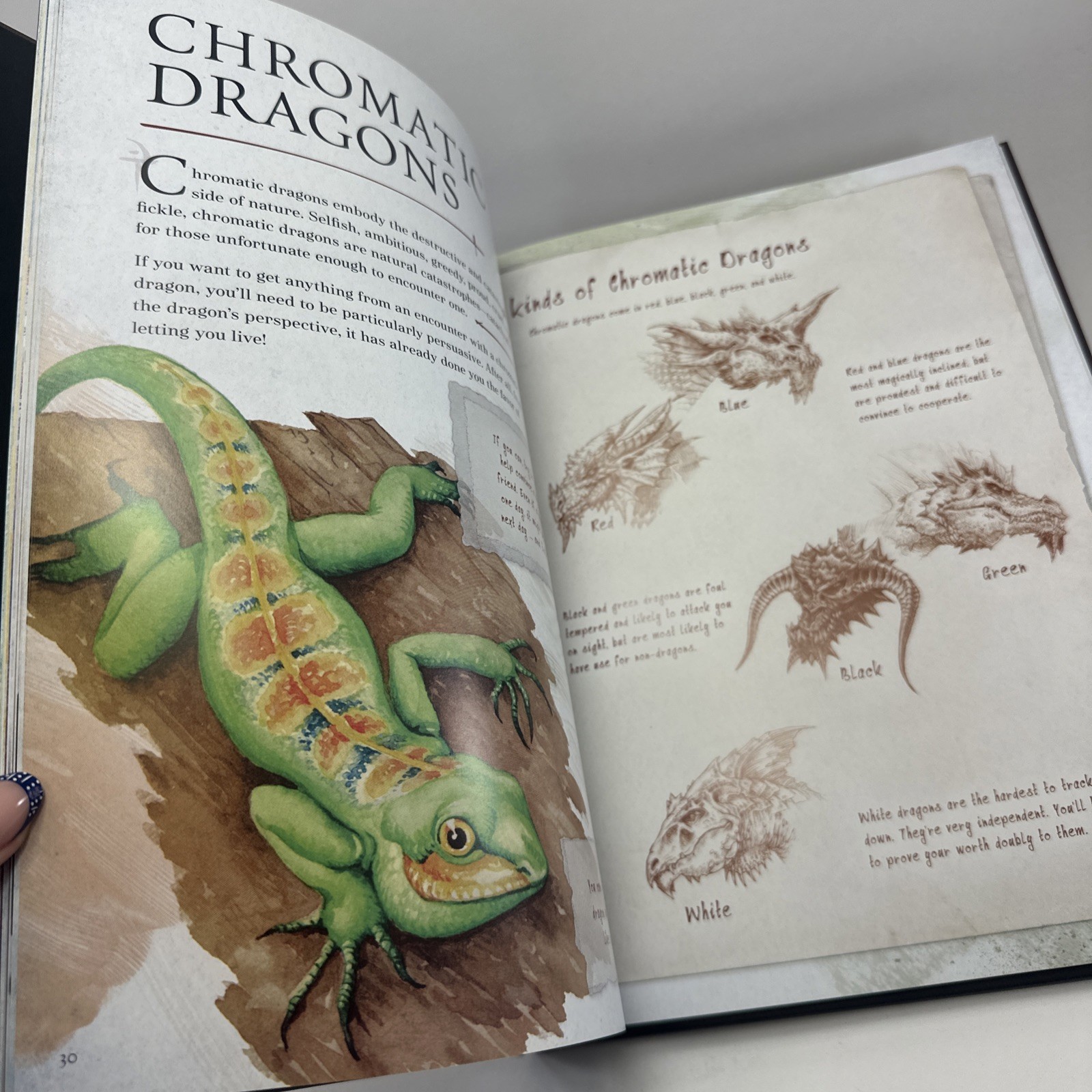 Practically Complete Guide to Dragons Dungeons & Dragons HC Wizards of the Coast