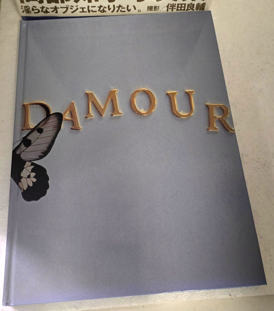 OBJET D`AMOUR (1999, Hardcover) Ryosuke Handa – 1st Edition w/ Adult Sexy Photos