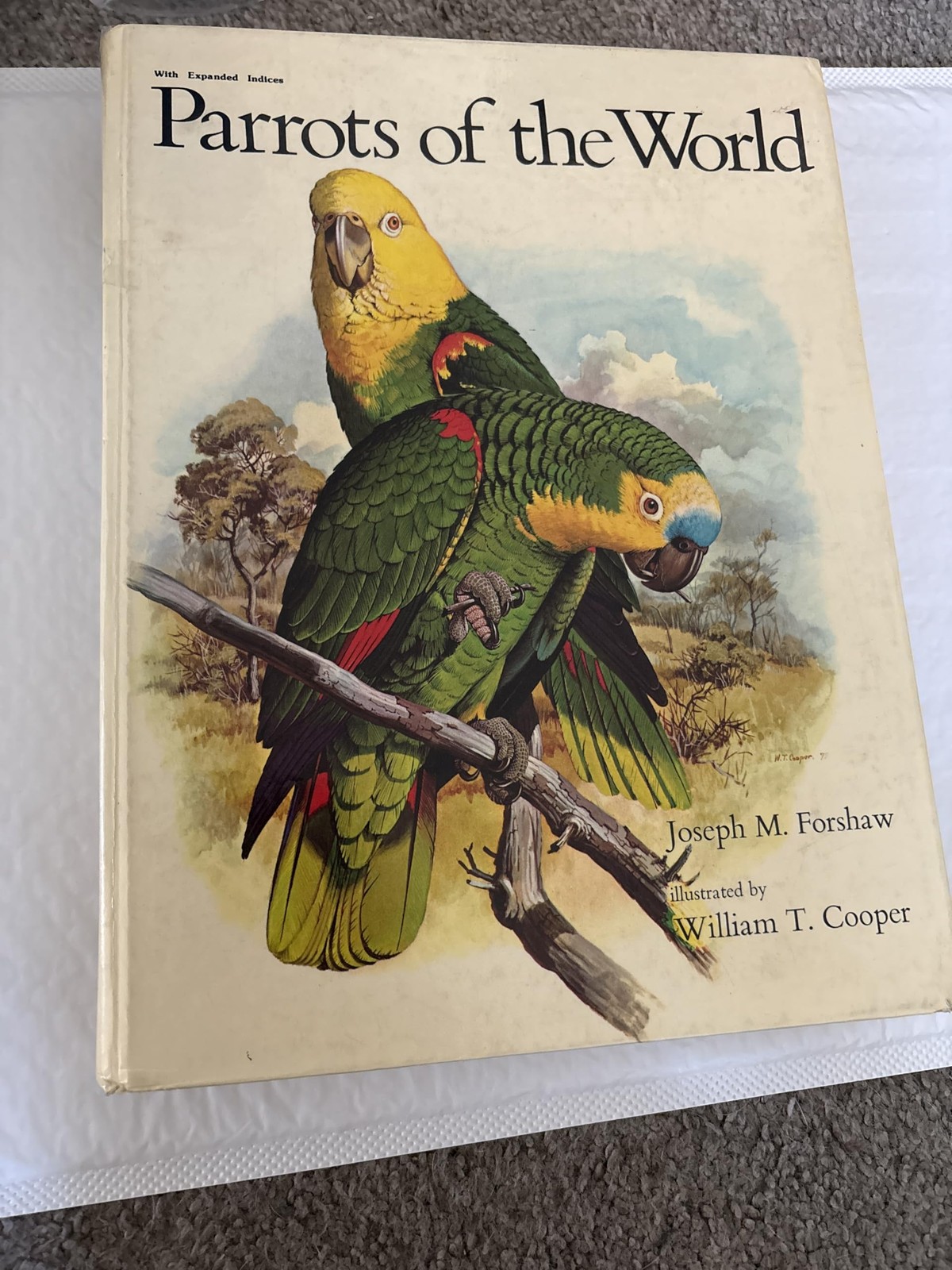 Parrots of the World