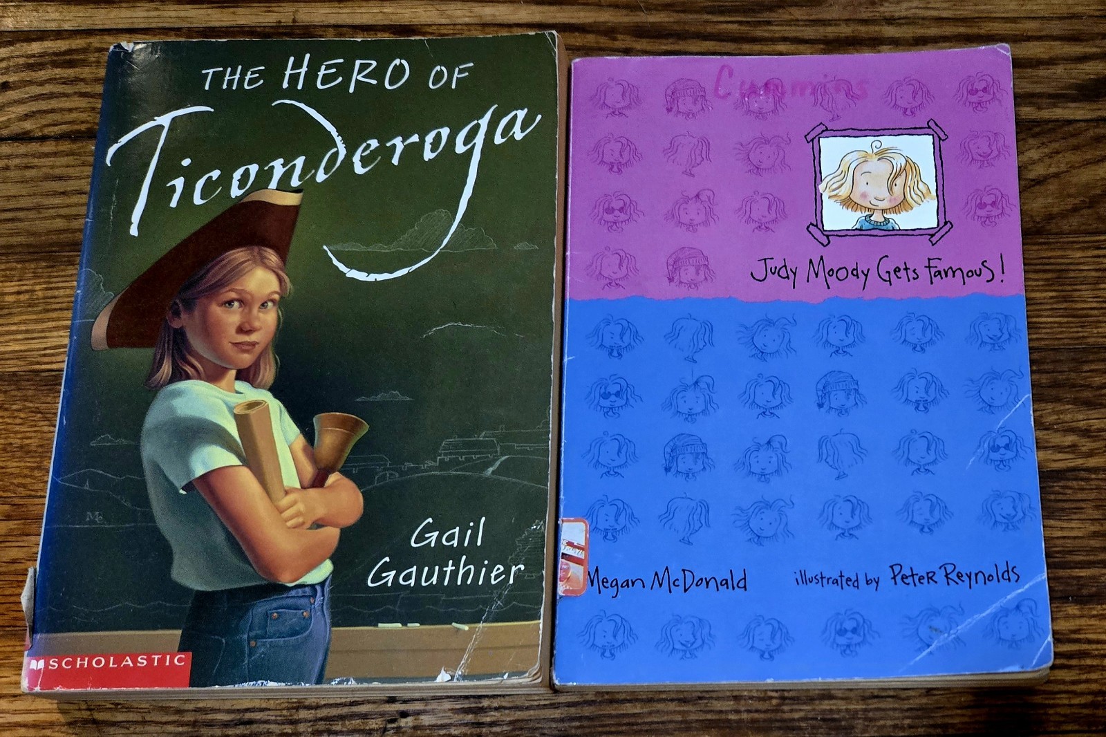 4th 5th Grade 20 Chapter Books Teacher Classroom Library Set Homeschool FB585