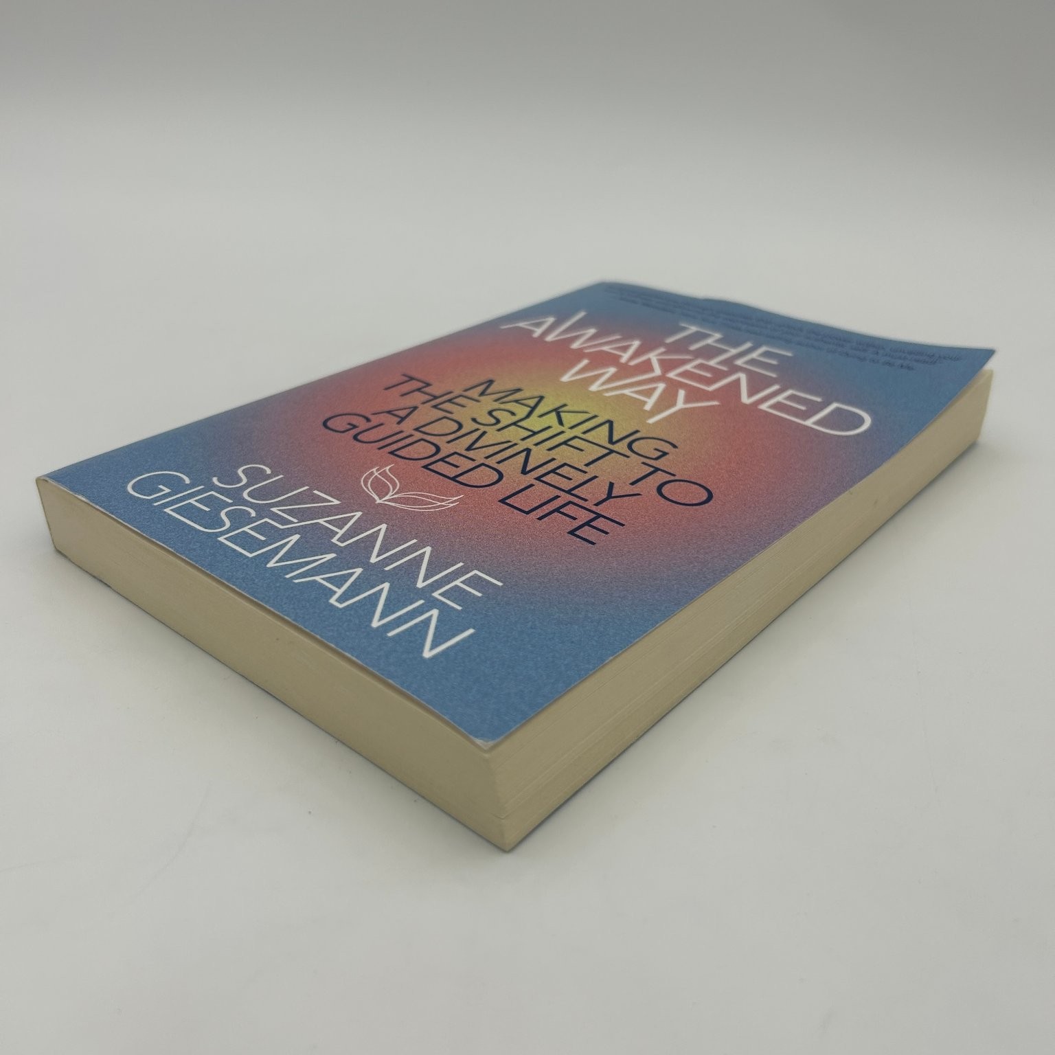 Awakened Way Suzanne Giesemann 2024 Self-Help Spirituality Hay House Inc