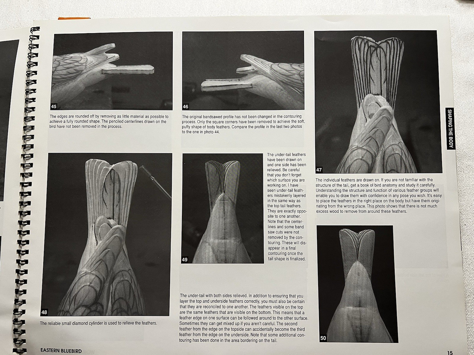 Wildfowl Carving Mag Workbench Projects “Eastern Bluebird” by Laura Lucio, 2002