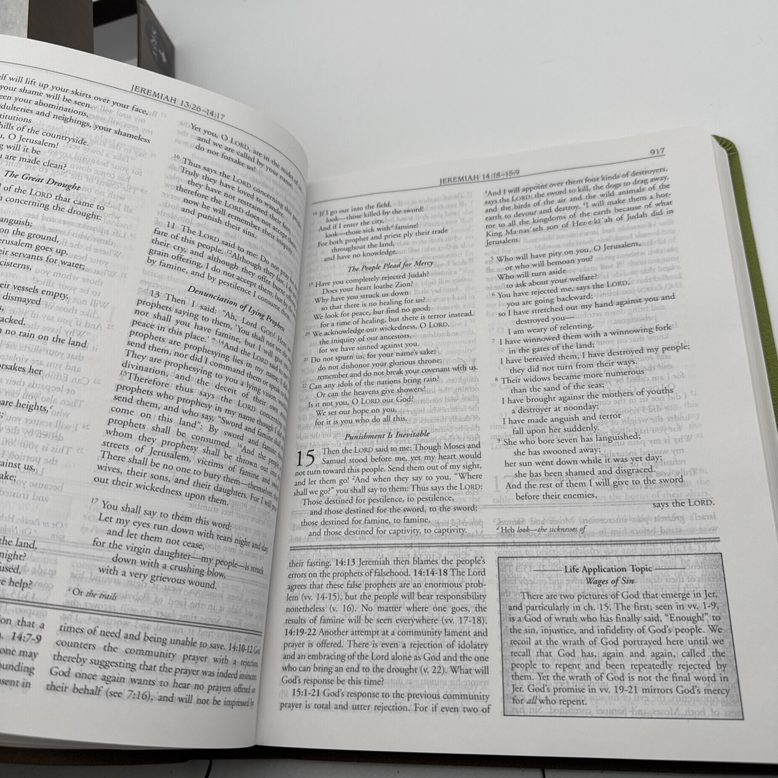 NRSV Wesley Study Bible: Sage Thicket Decotone by Joel B.Willimon, Willia Green