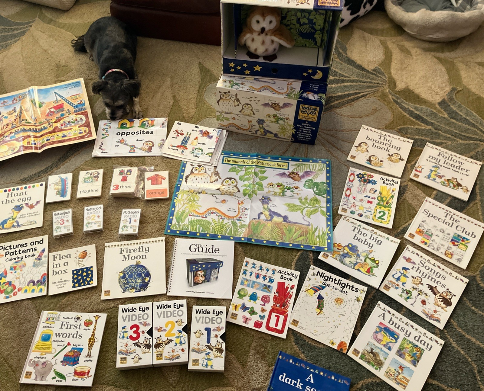 Wide Eyed Early Learning Program Kit for Toddlers Ages Books And Videos
