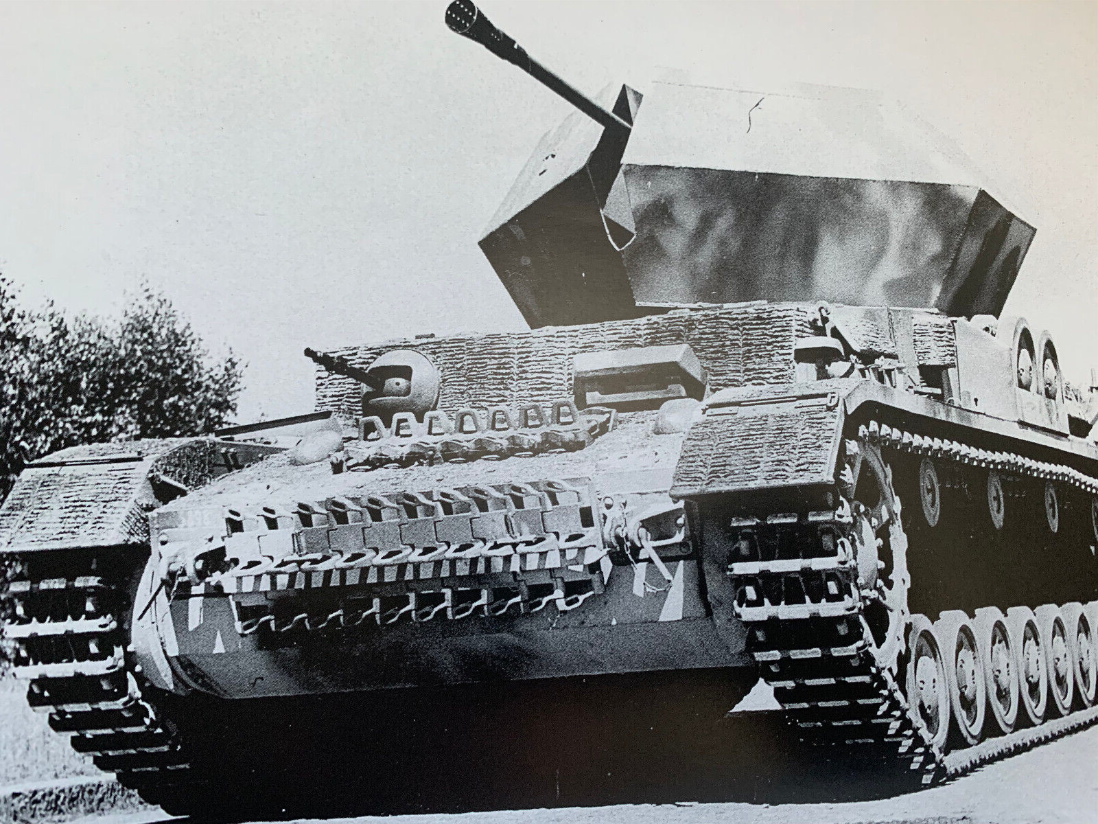 GERMAN SELF-PROPELLED GUNS Sturmgeschutz Jagdpanzer AFV Tank Bk FREE US POSTAGE!