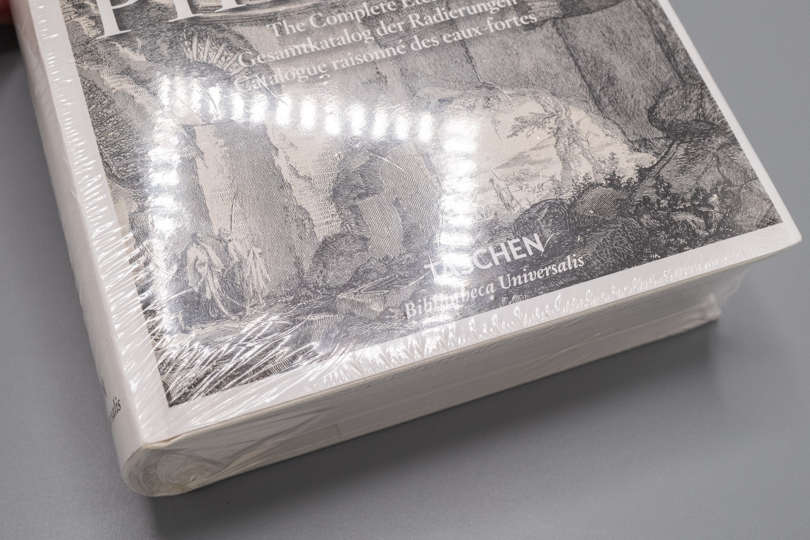 Piranesi. the Complete Etchings by Luigi Ficacci (2016, Hardcover) *NEW*