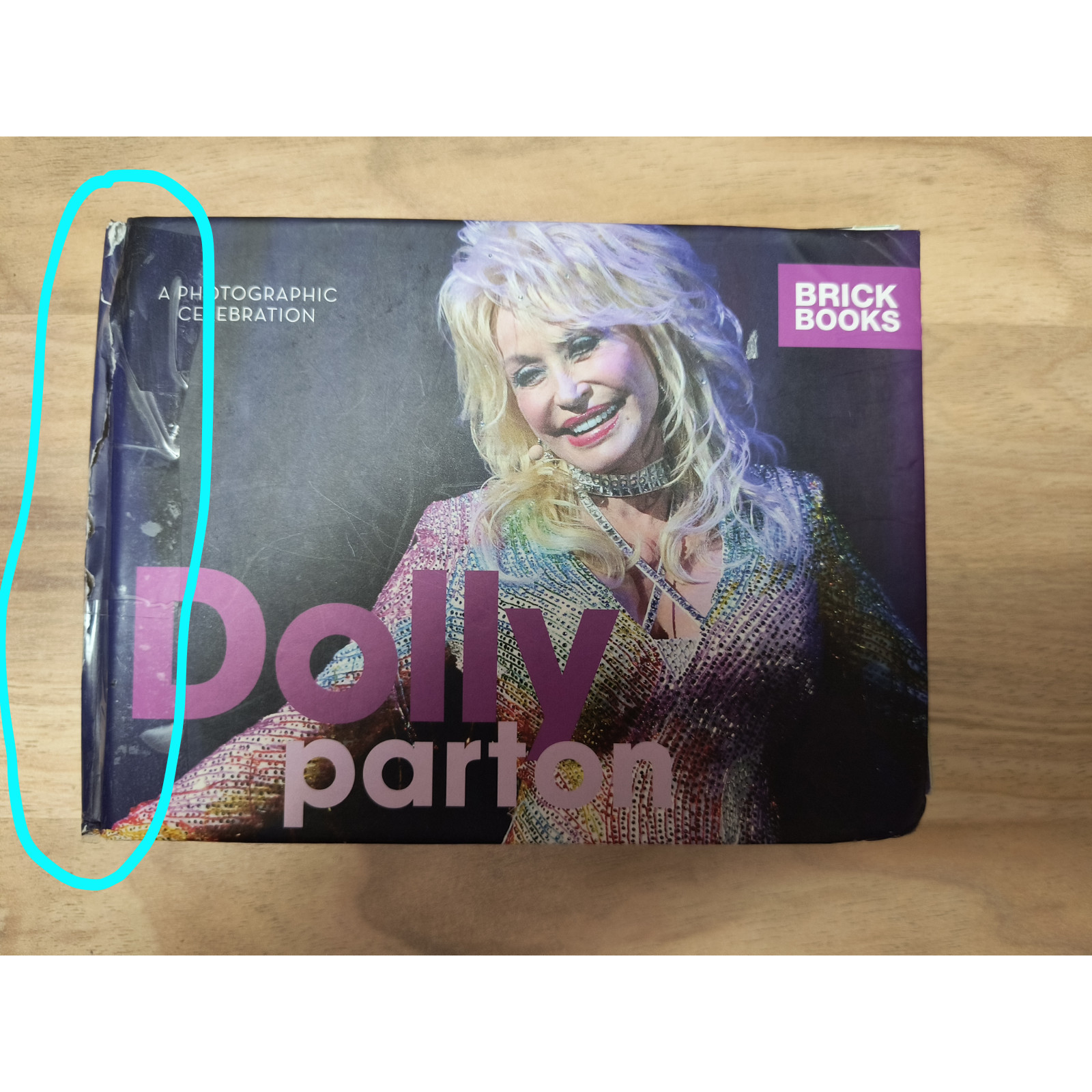 Dolly Parton: A Photographic Celebration by Lisa Purcell Brick Books *READ*