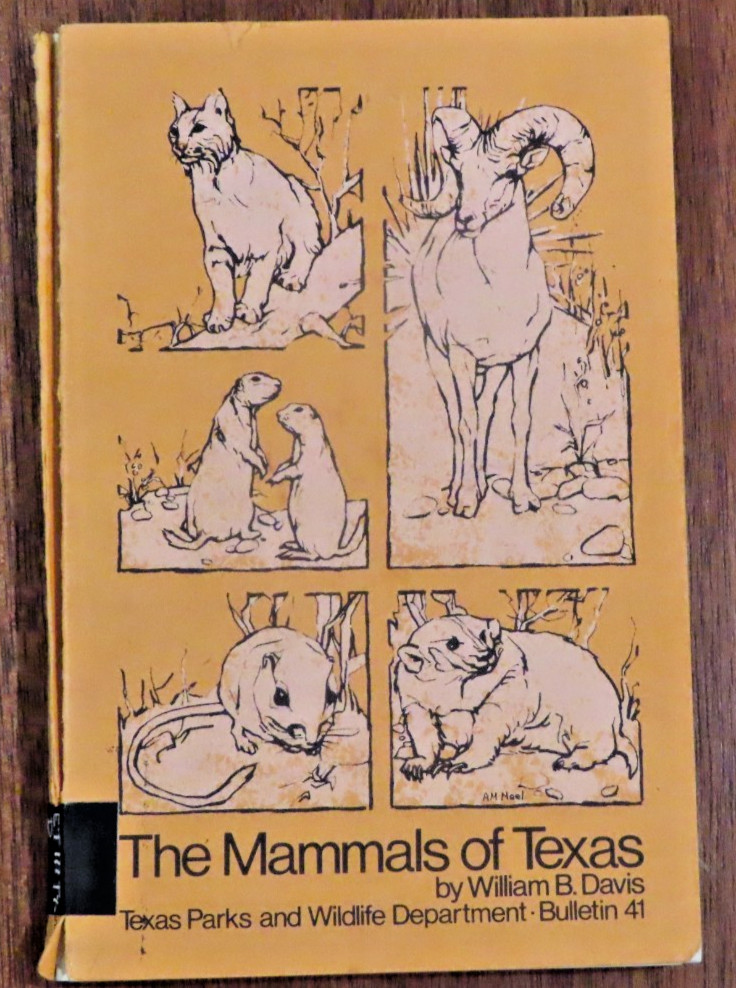 The Mammals Of Texas By William B. Davis Texas Parks Wildlife 1978 Bulletin 41