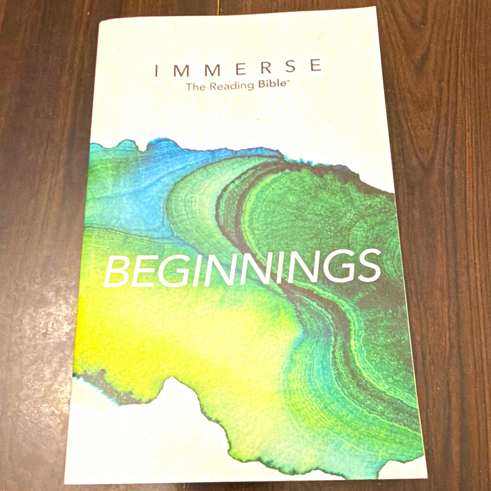 Immerse: The Reading Bible Beginnings New Living Translation PB 2021